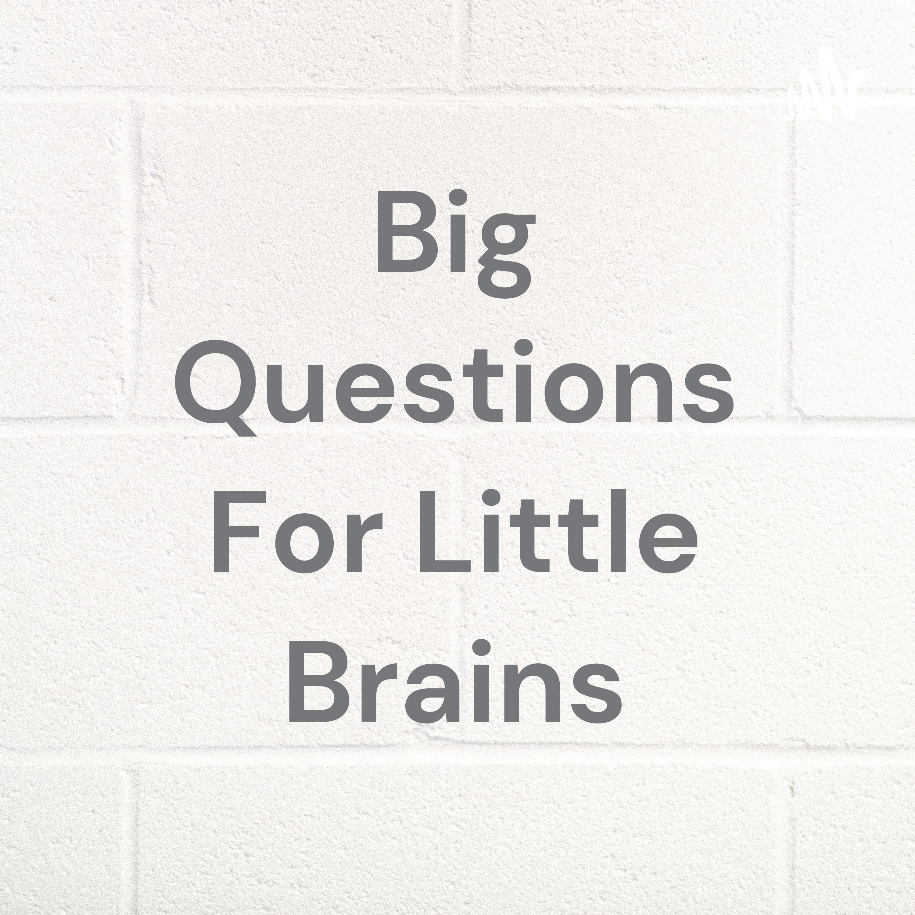 Big Questions For Little Brains