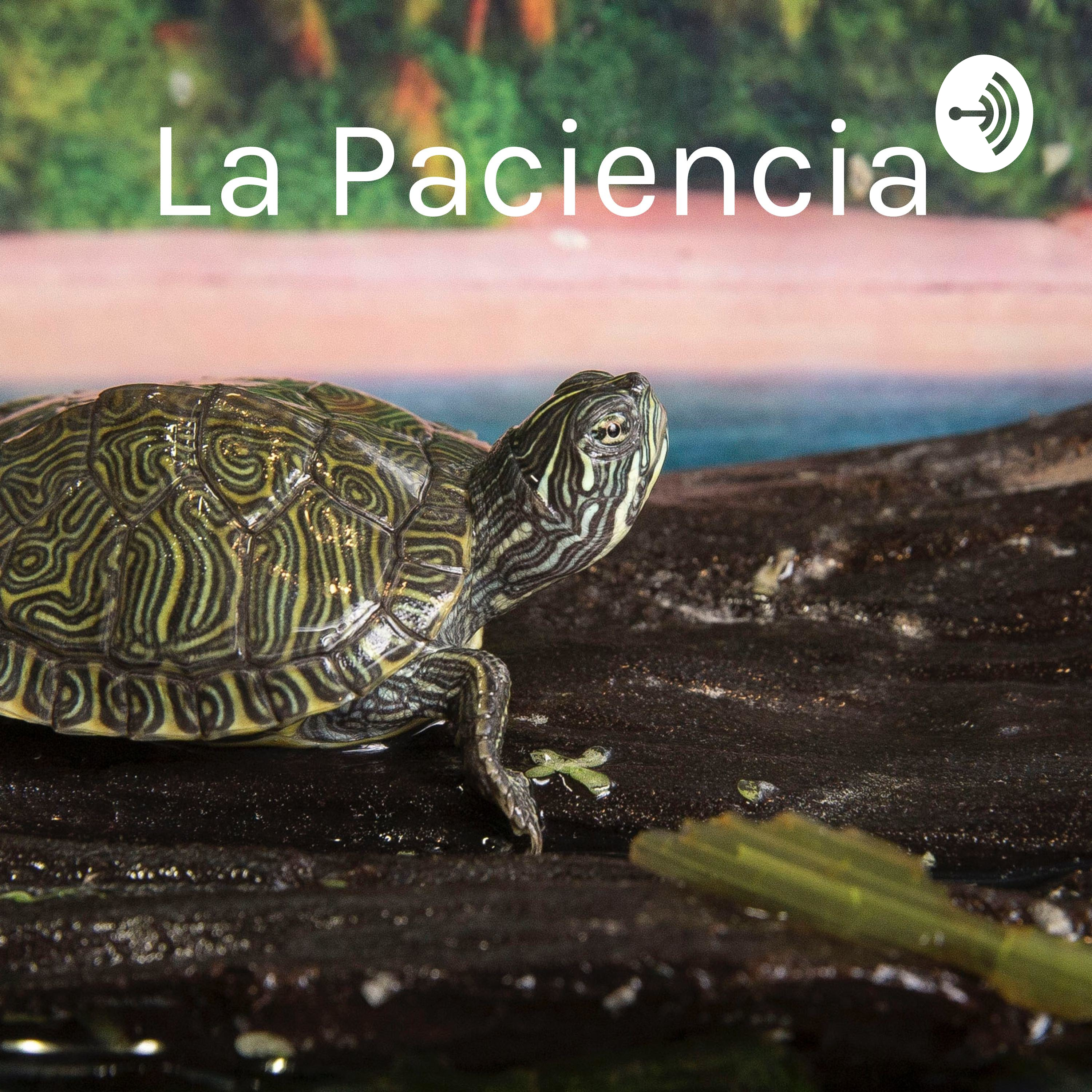 La Paciencia - Un super poder
