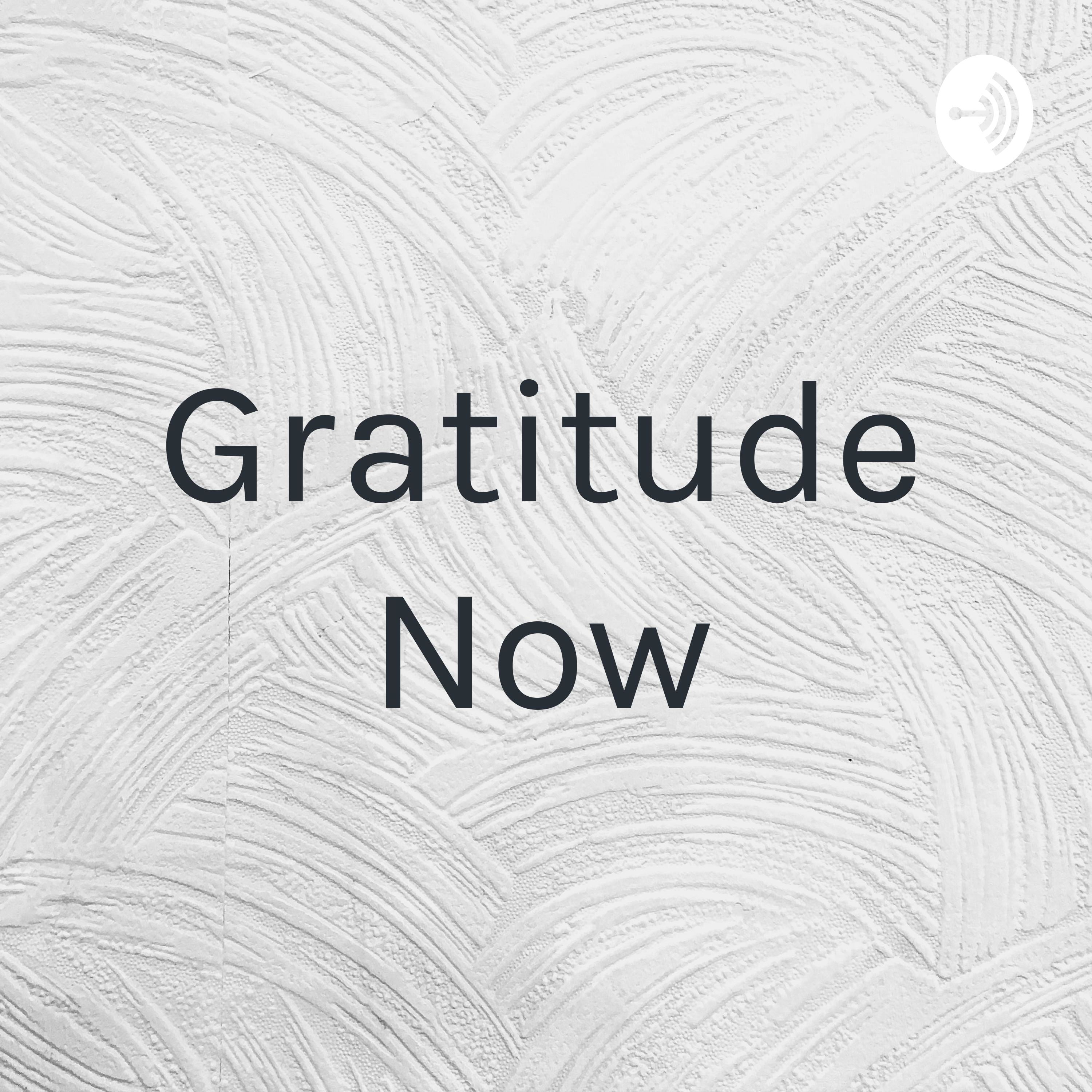 Gratitude Now