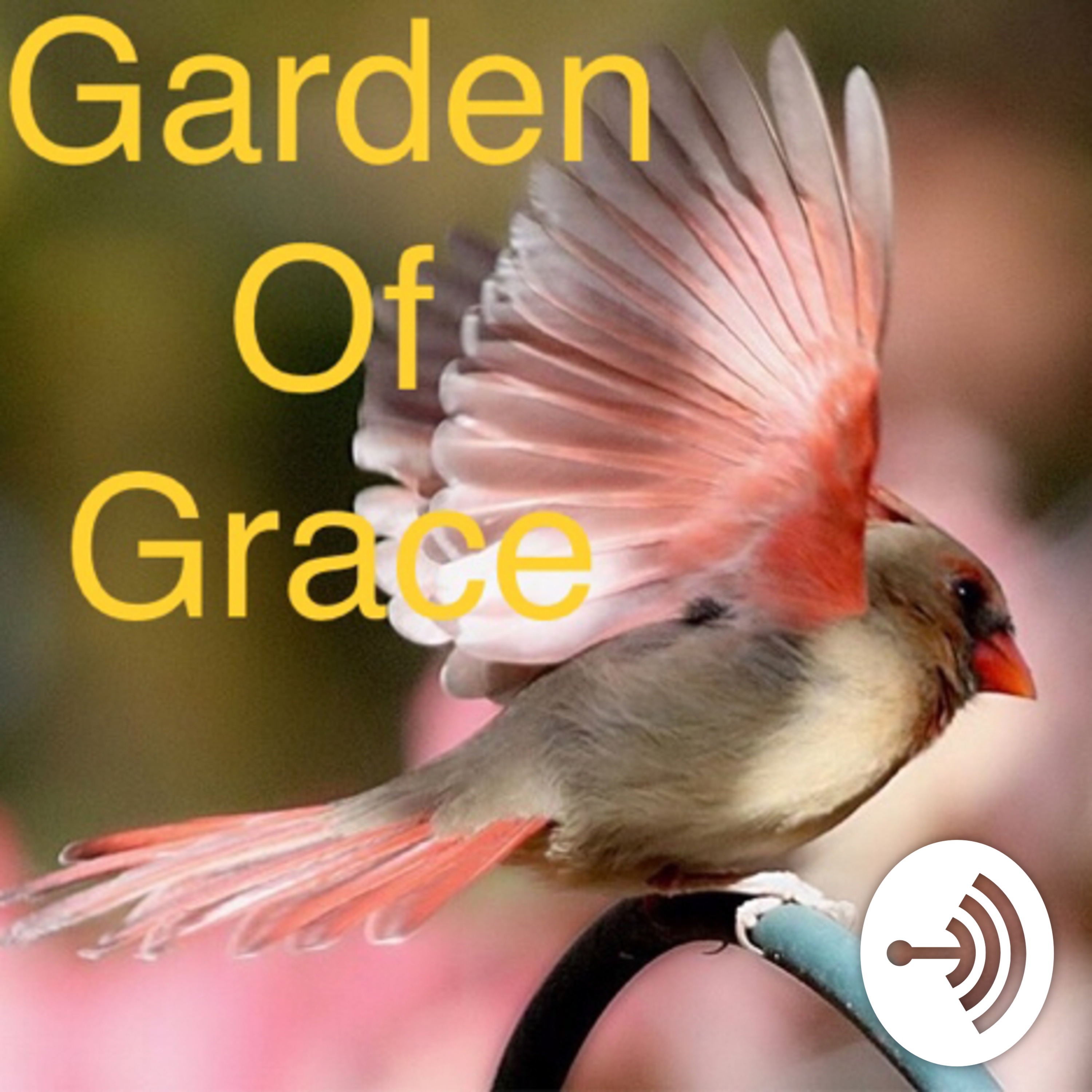Gaylene’s Garden of Grace