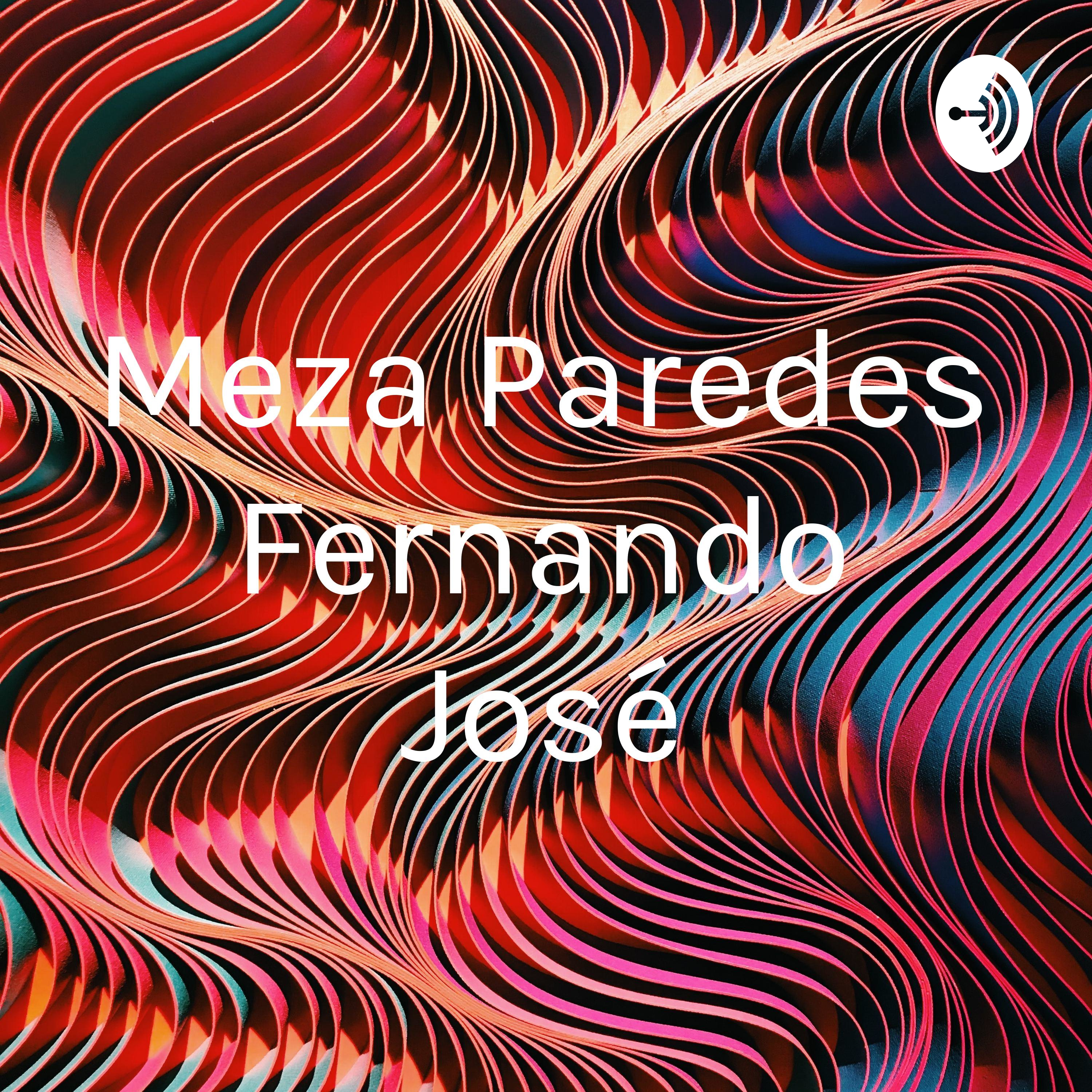 Meza Paredes Fernando José