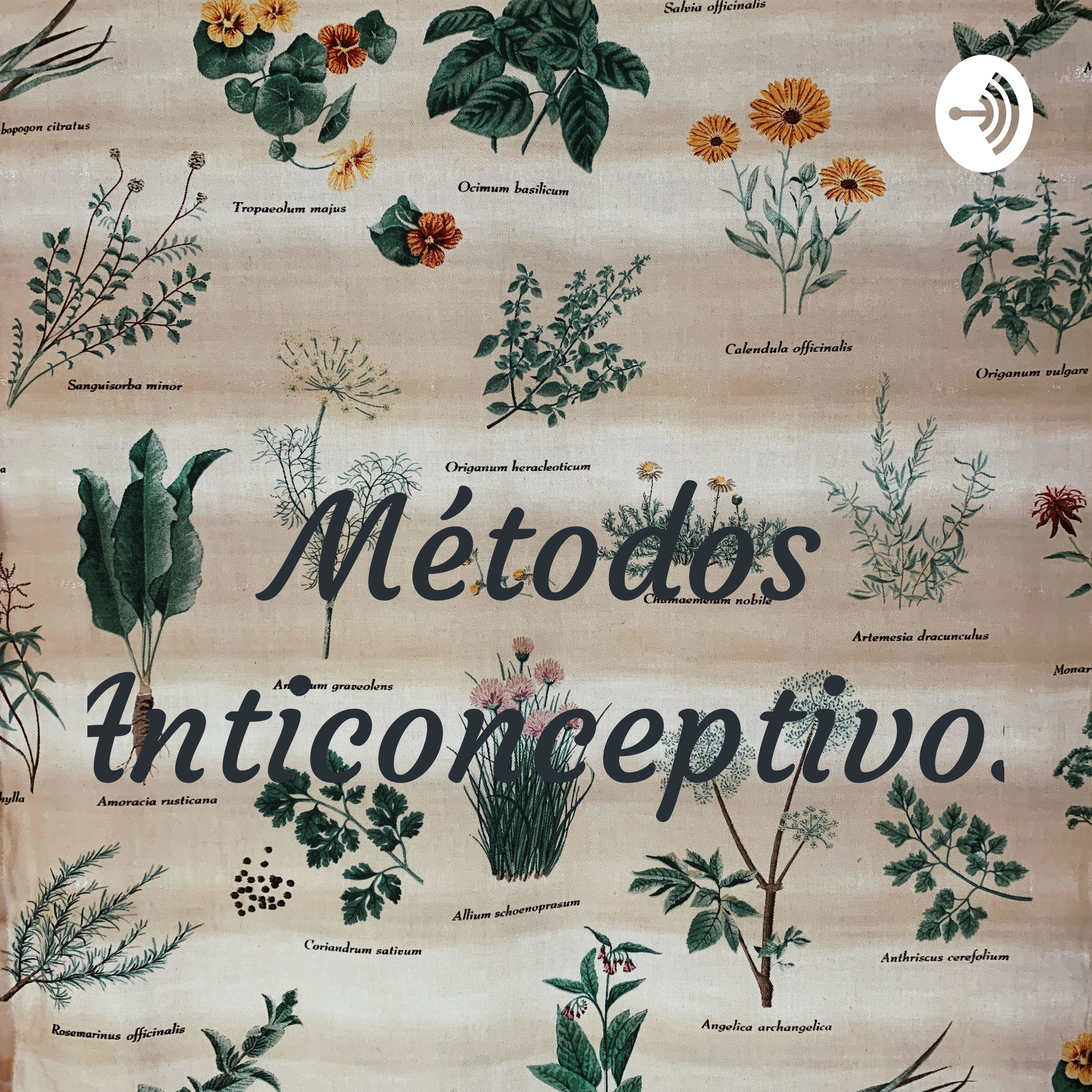 Métodos Anticonceptivos 