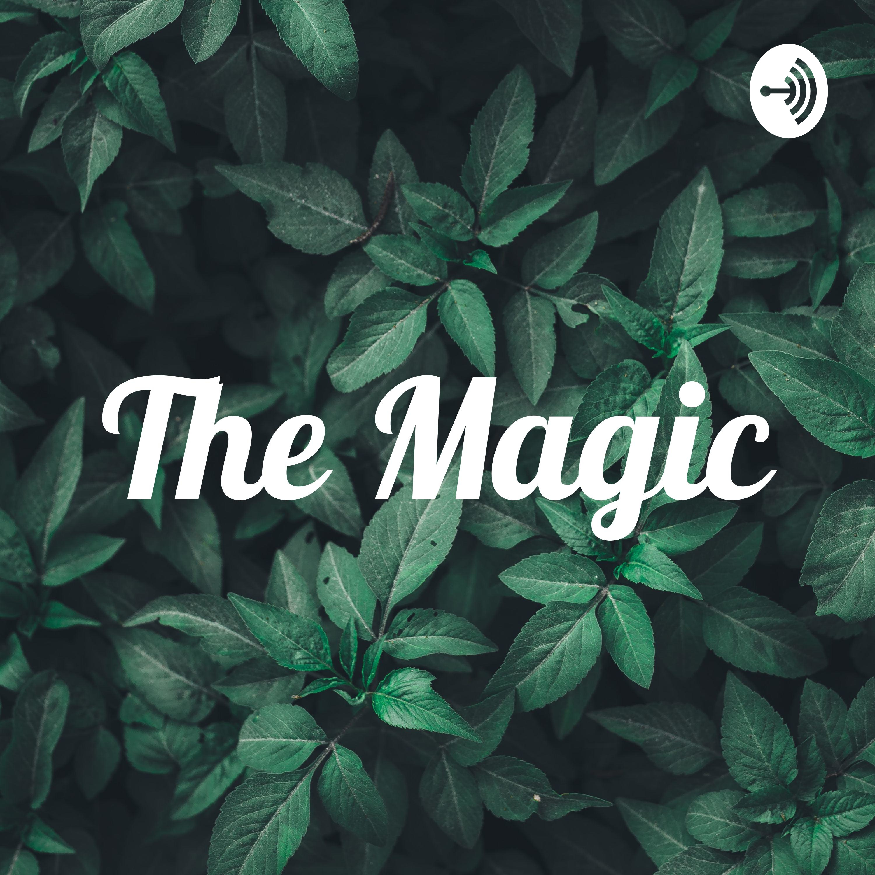 The Magic