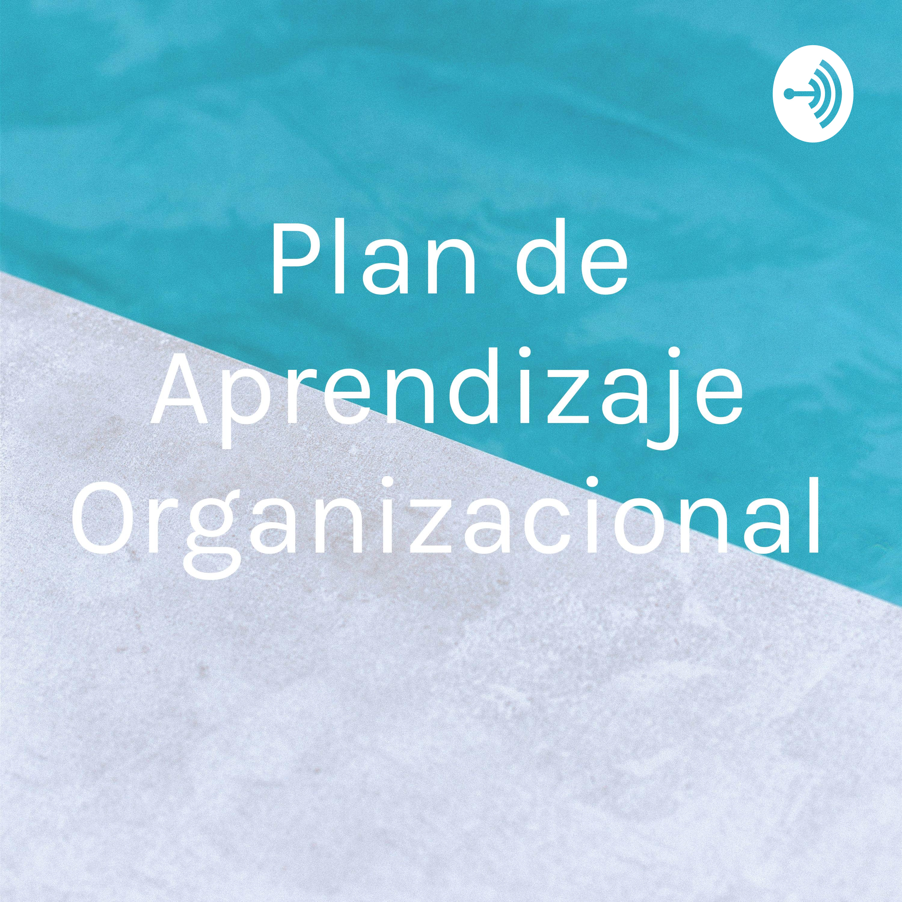 Plan de Aprendizaje Organizacional 