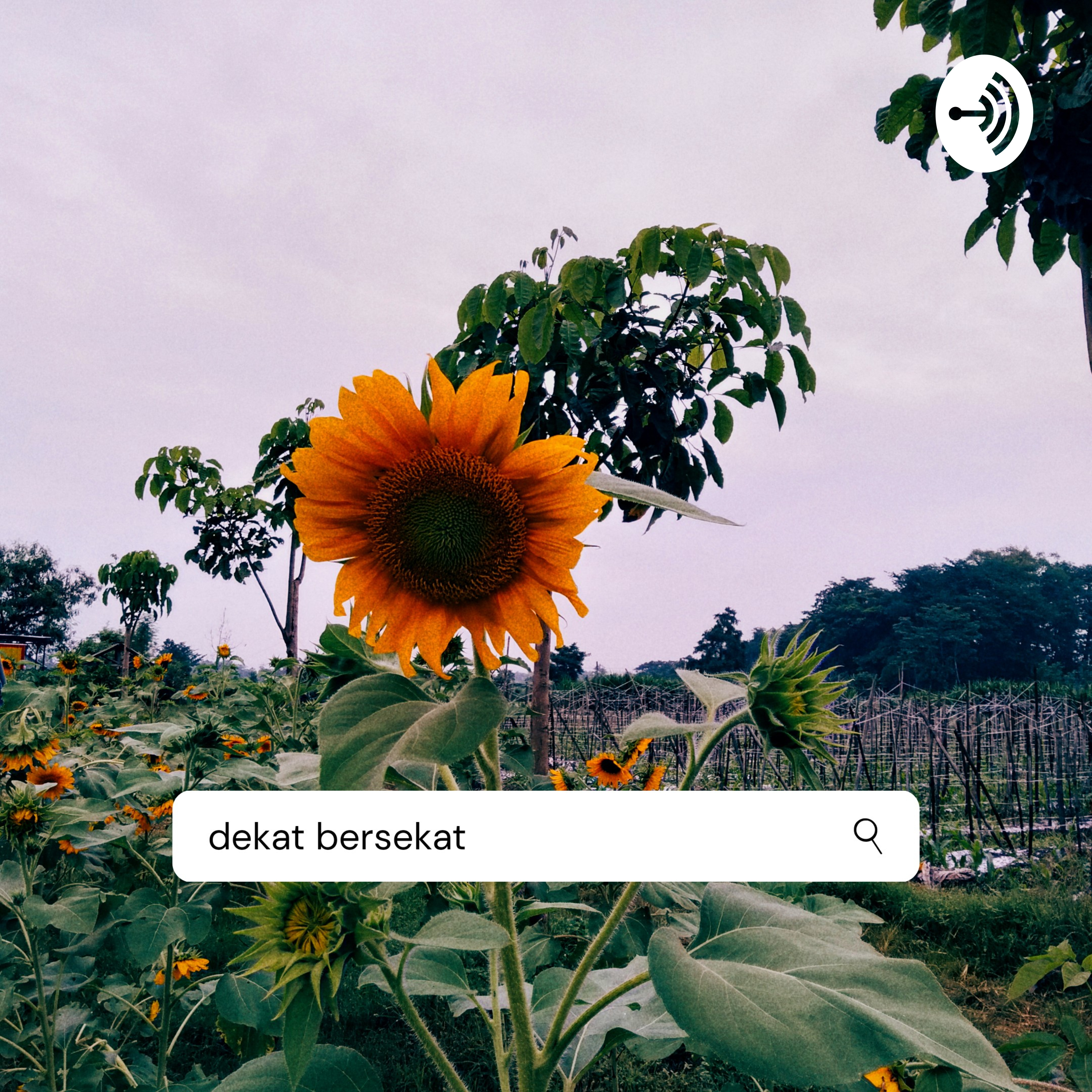 Dekat Bersekat