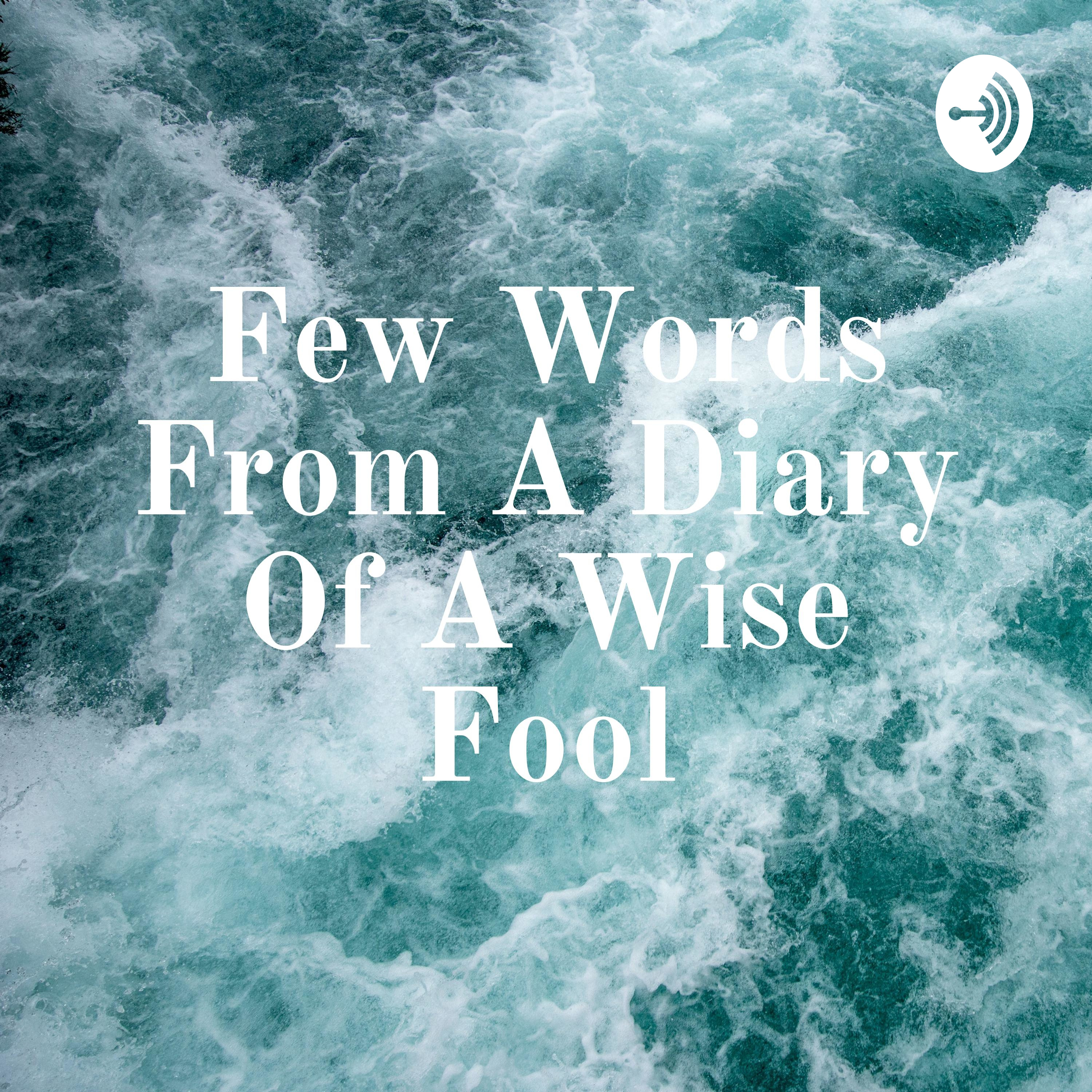 Few Words From A Diary Of A Wise Fool