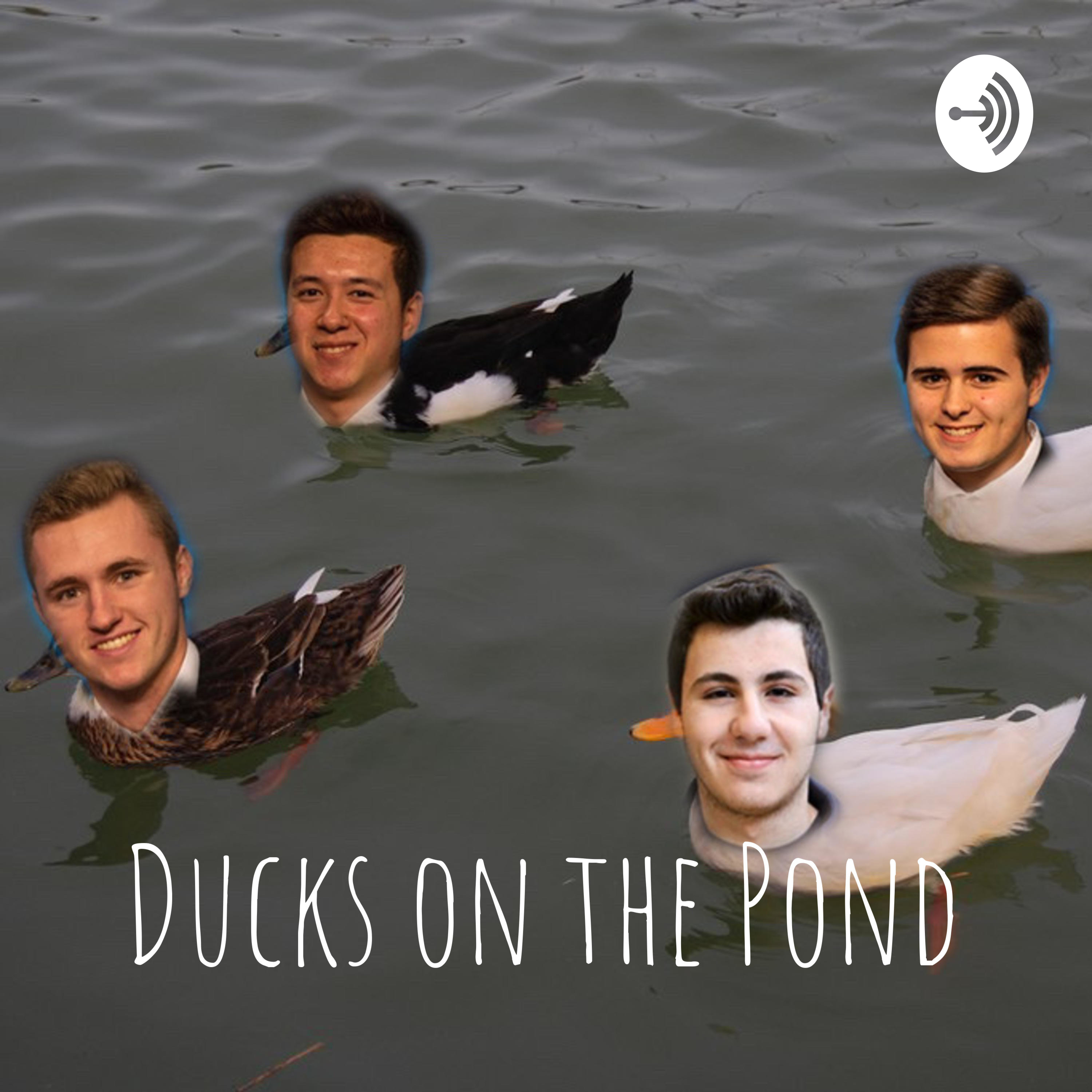 Ducks on the Pond