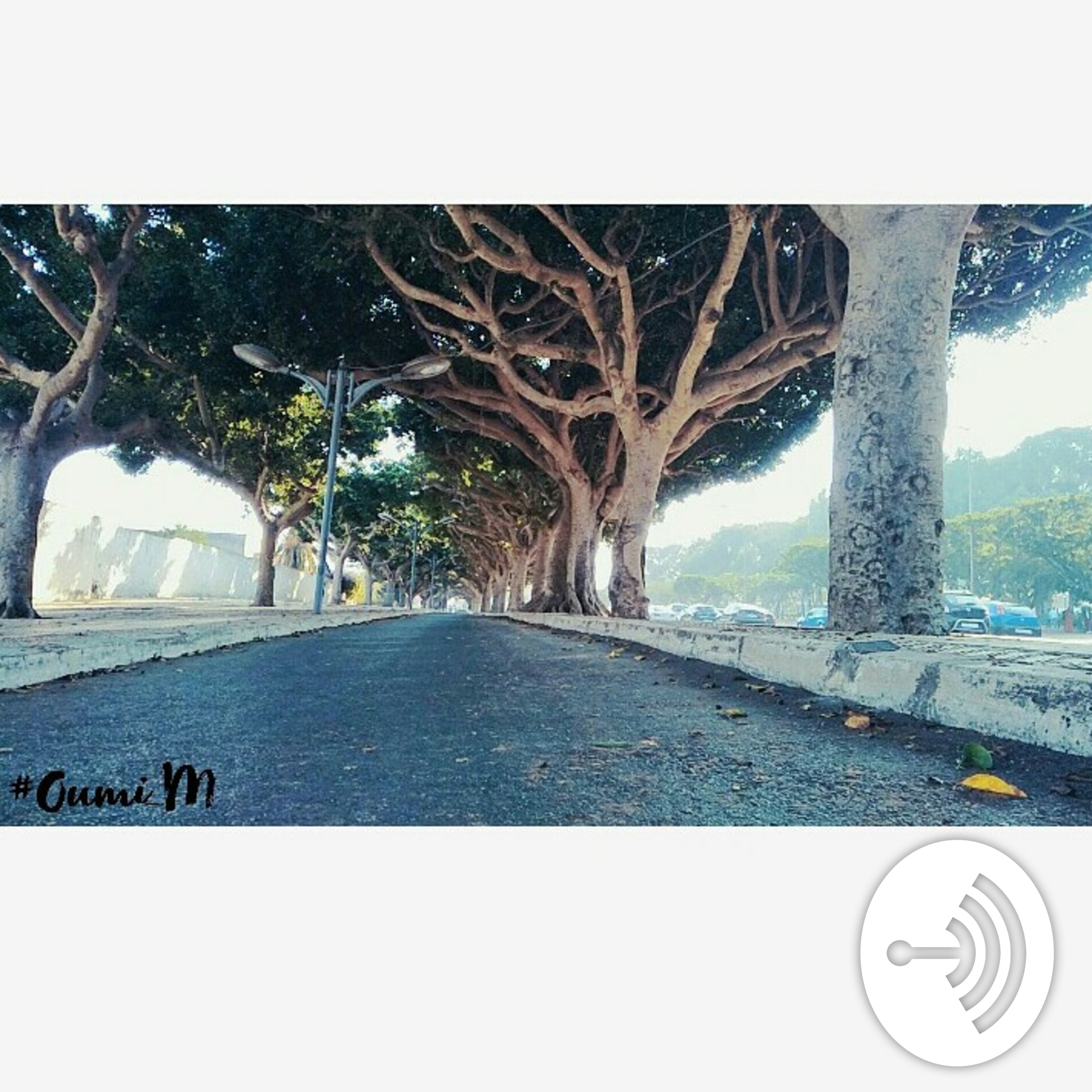 Oumi_M 