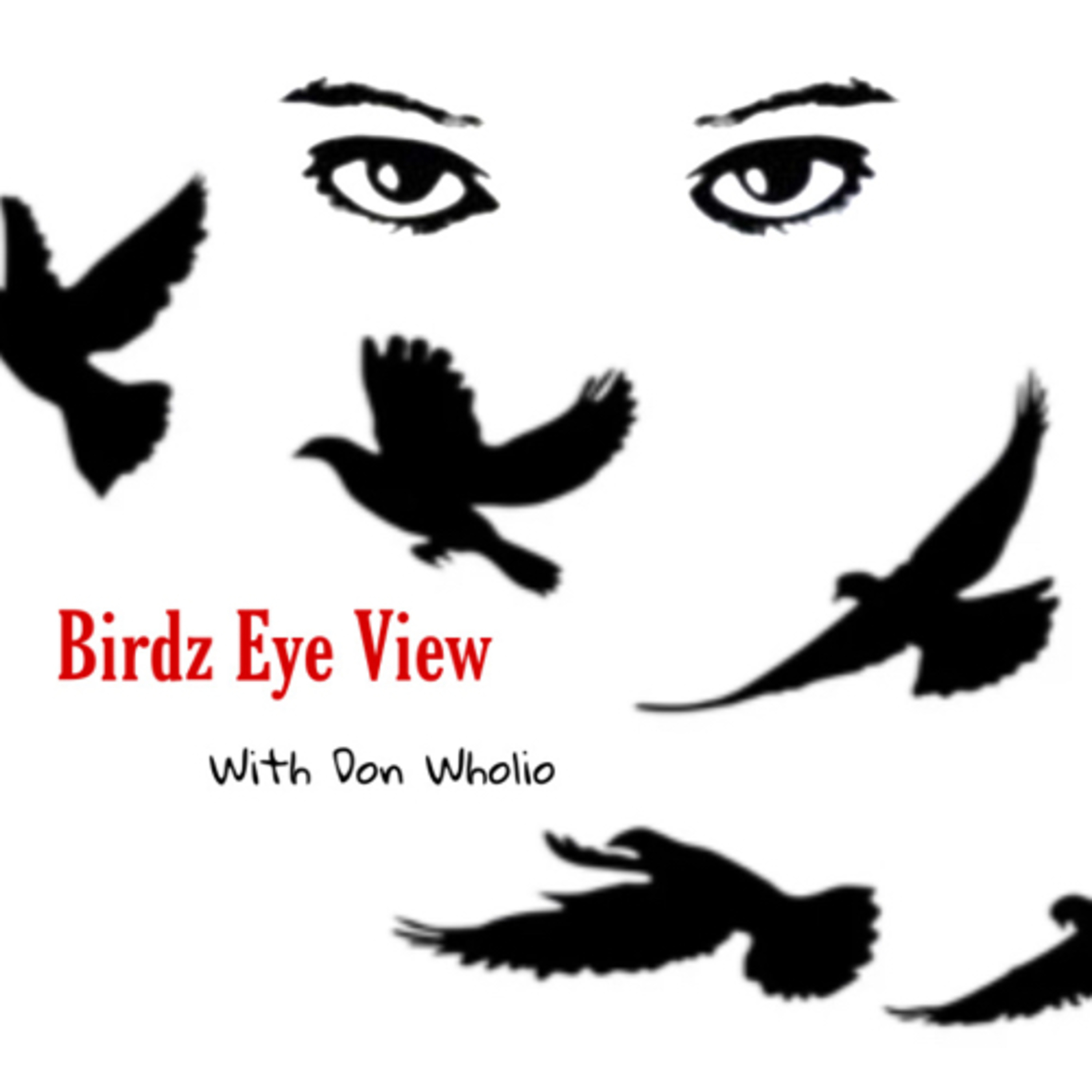 Birdz Eye View podcast artwork