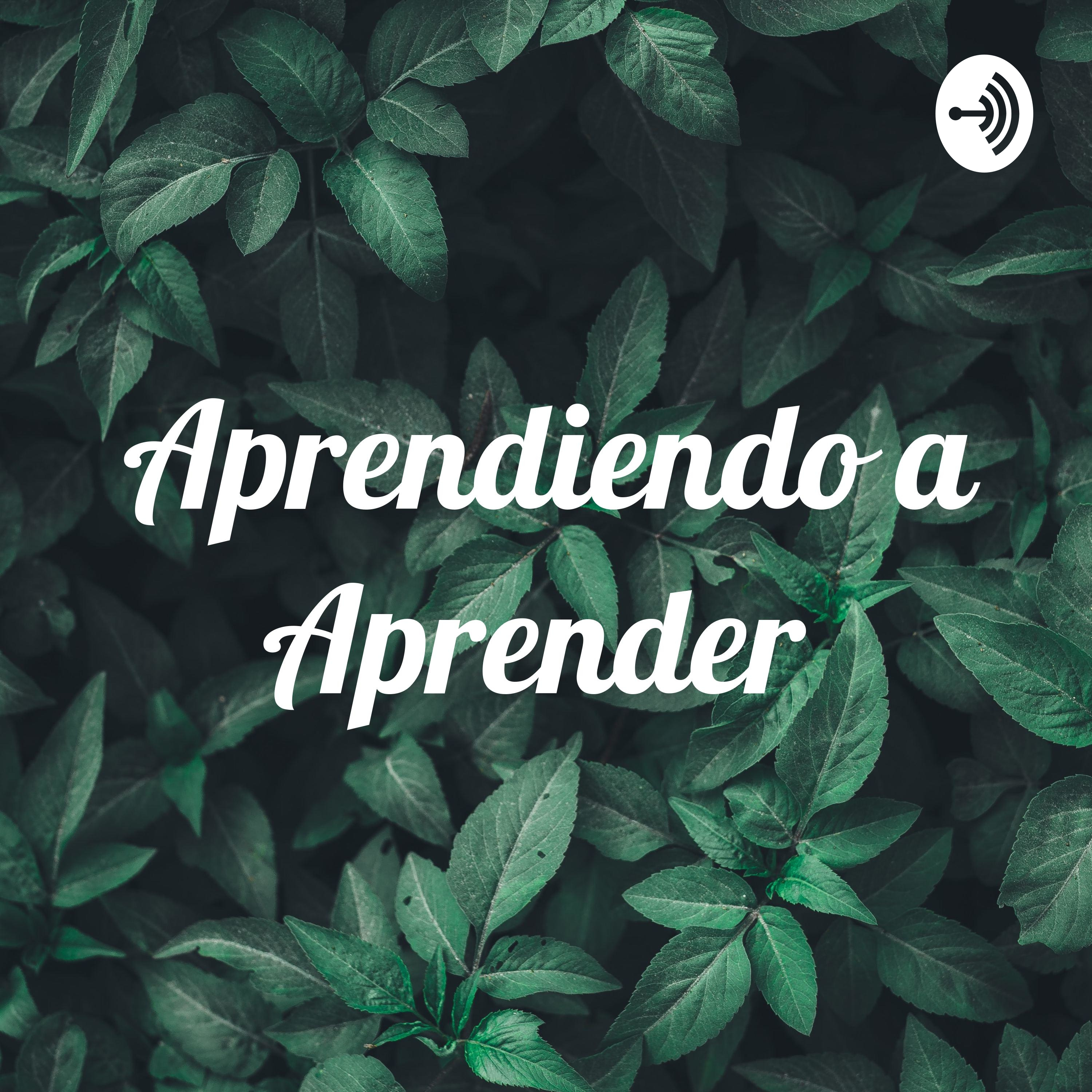 Aprendiendo a Aprender 
