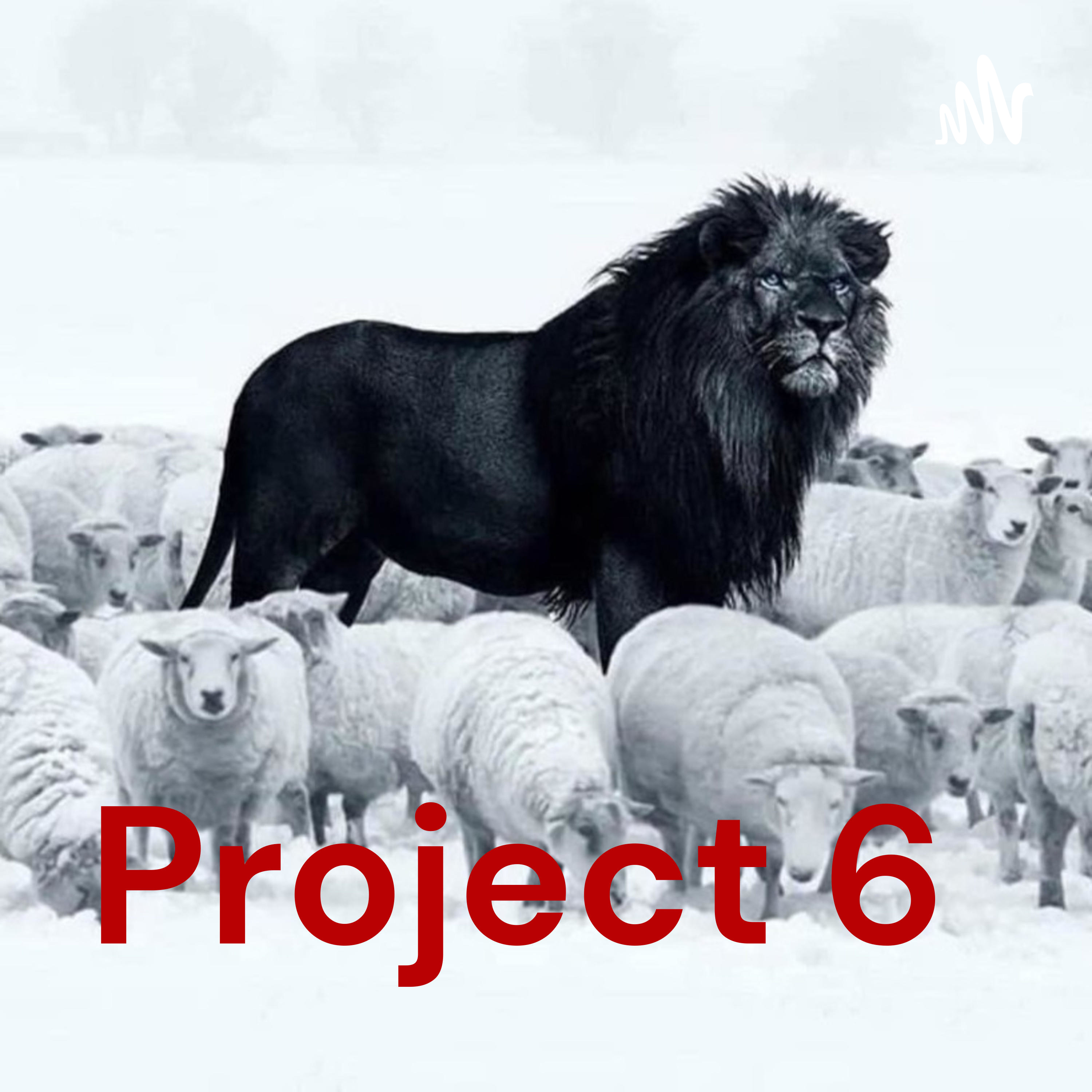 Project 6 