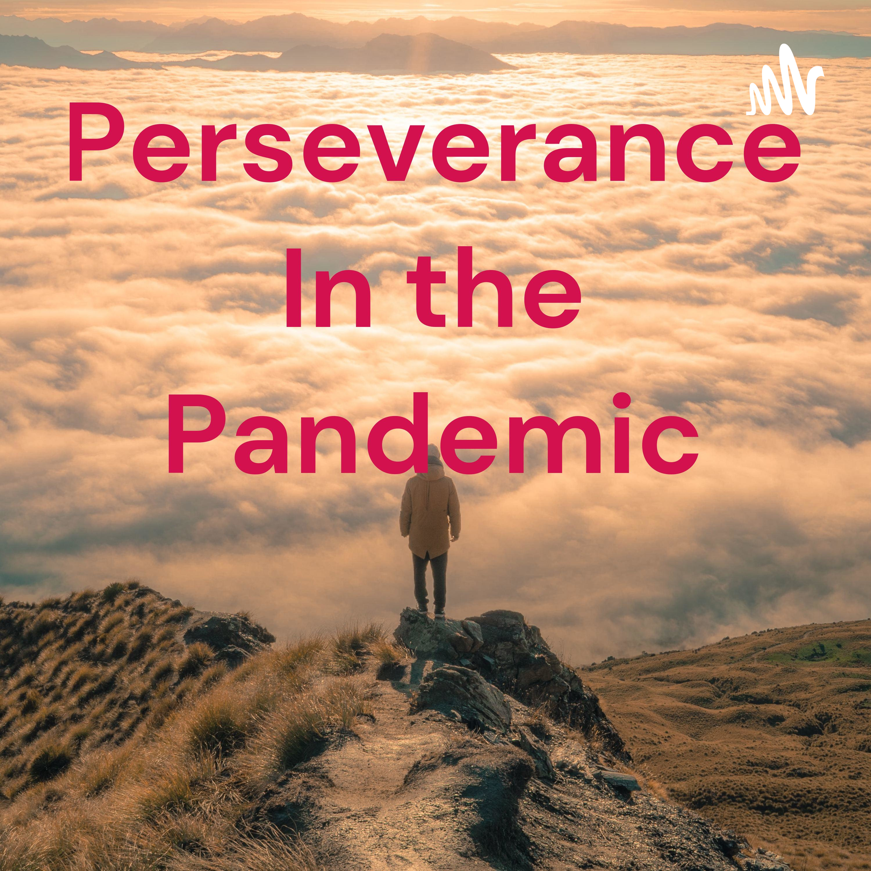 Perseverance In the Pandemic cover art