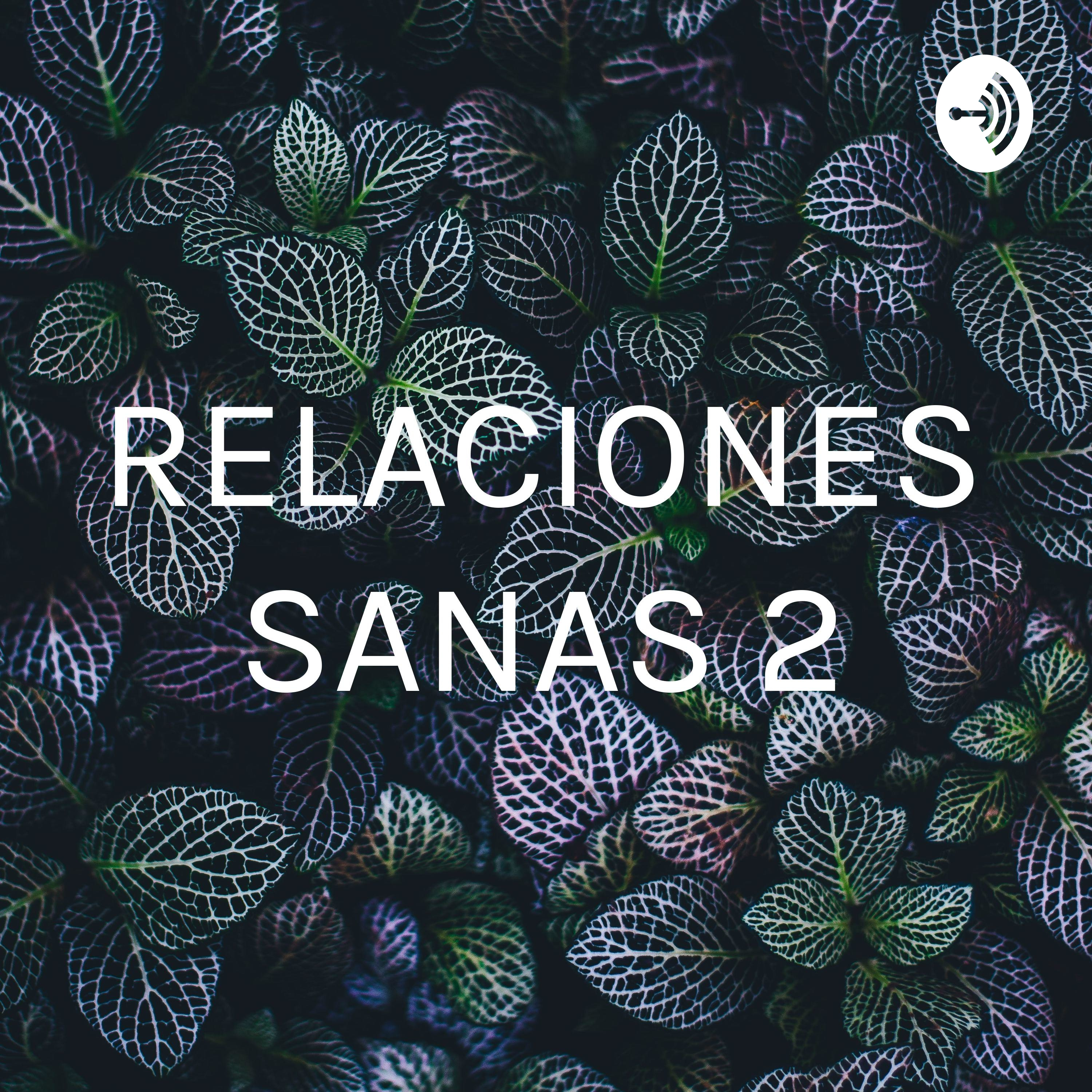 RELACIONES SANAS 2