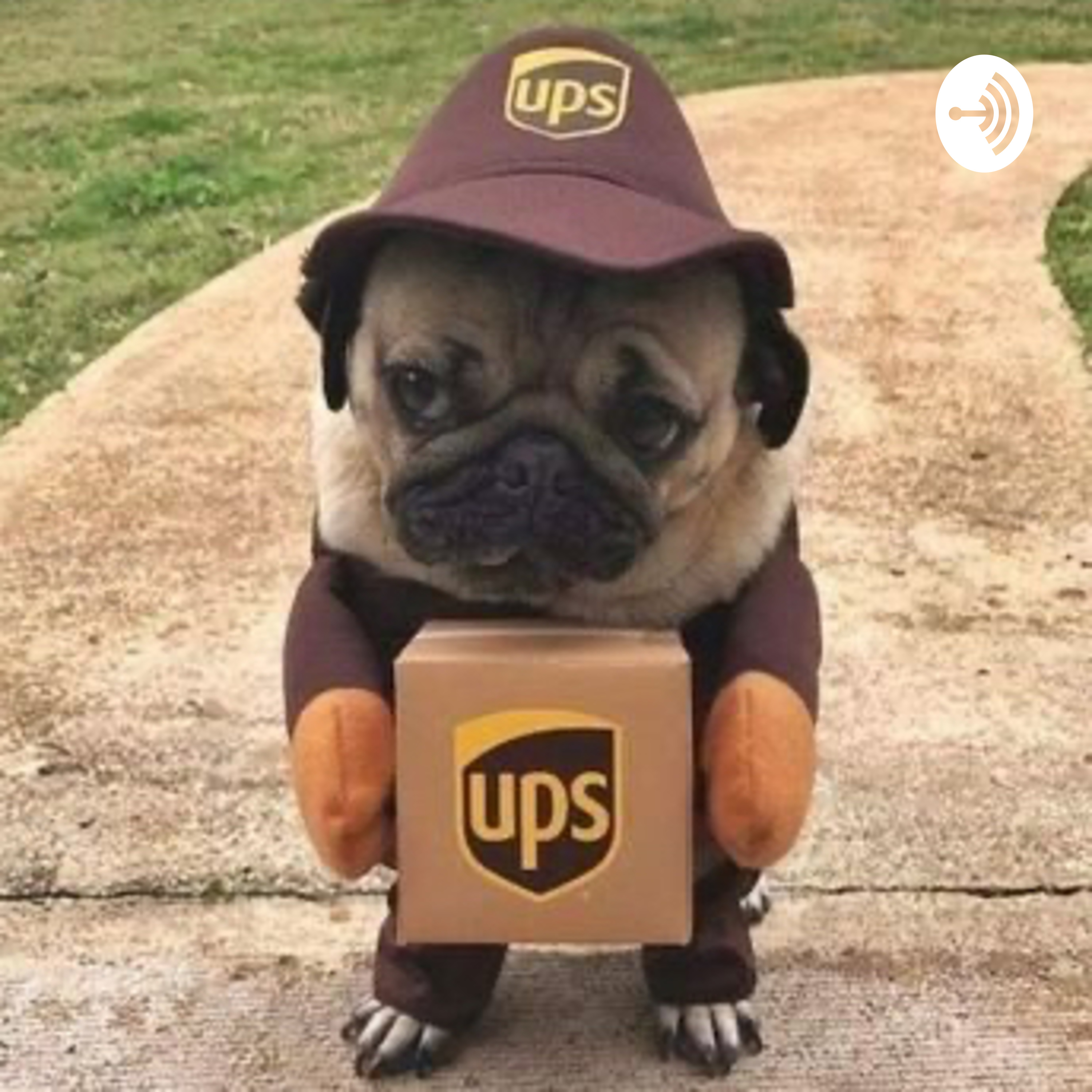 Corona Magnus, Celina og Liva af Liva Reinhard Lucas