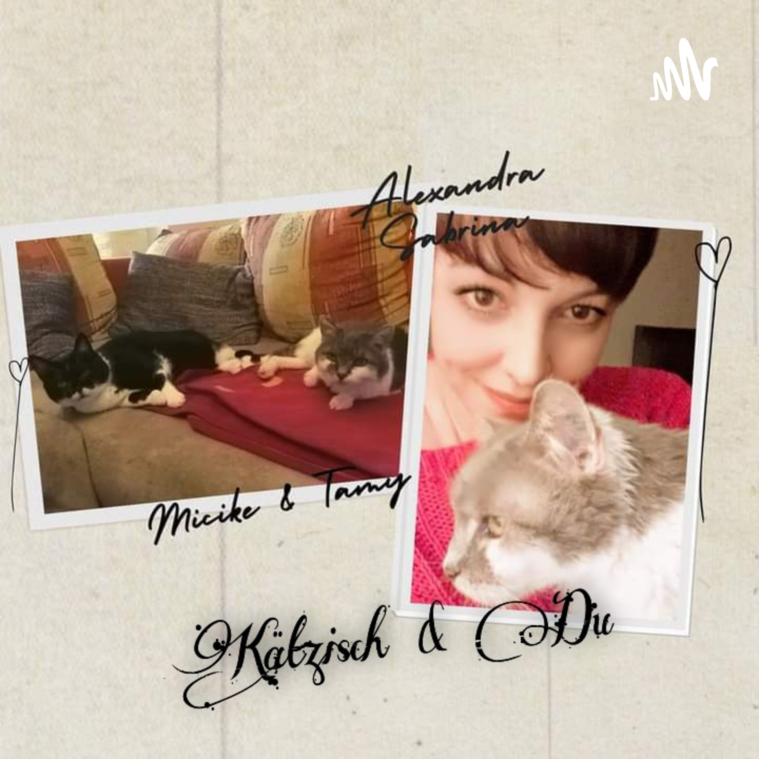 Die Welt aus Katzenperspektive ❤️