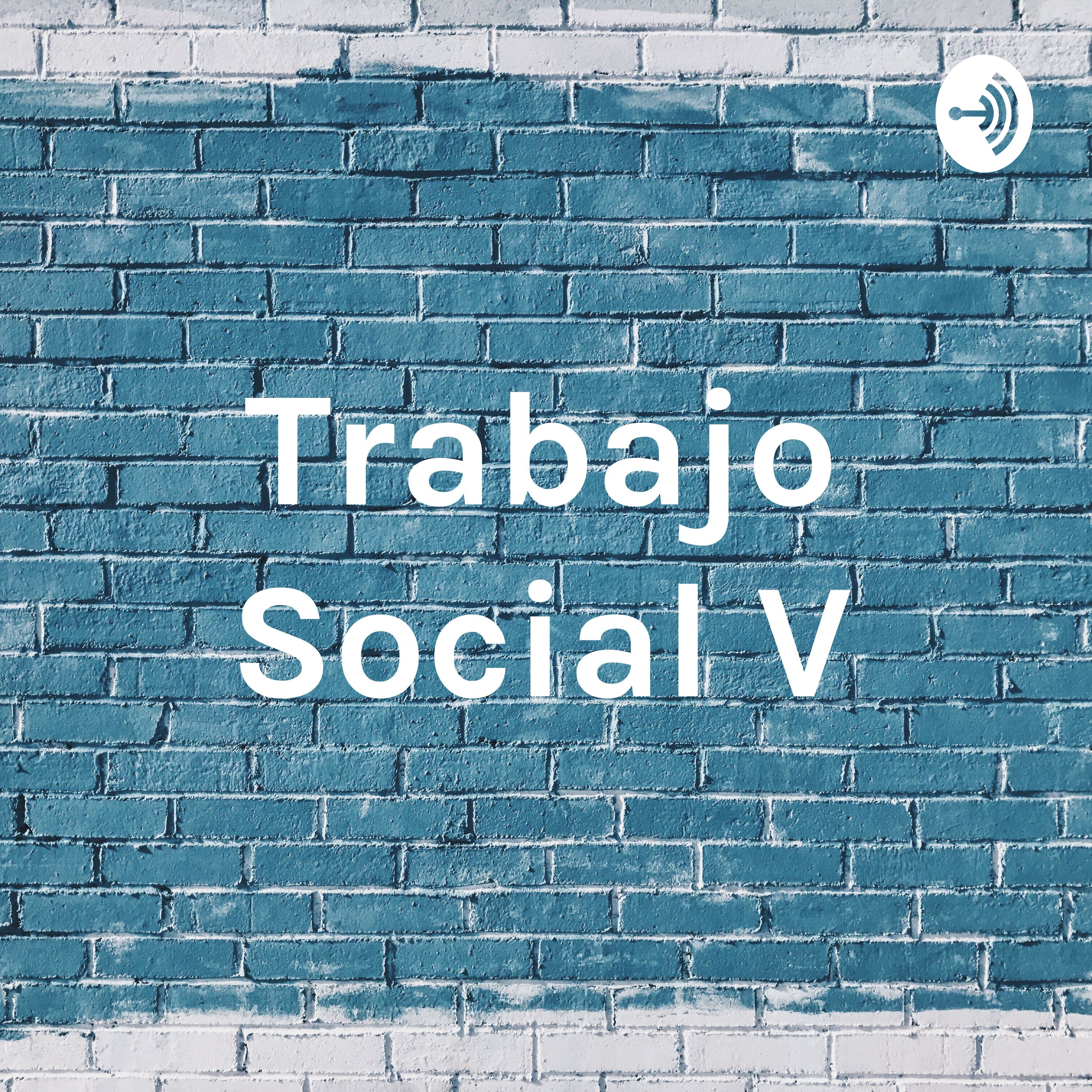 Trabajo Social V