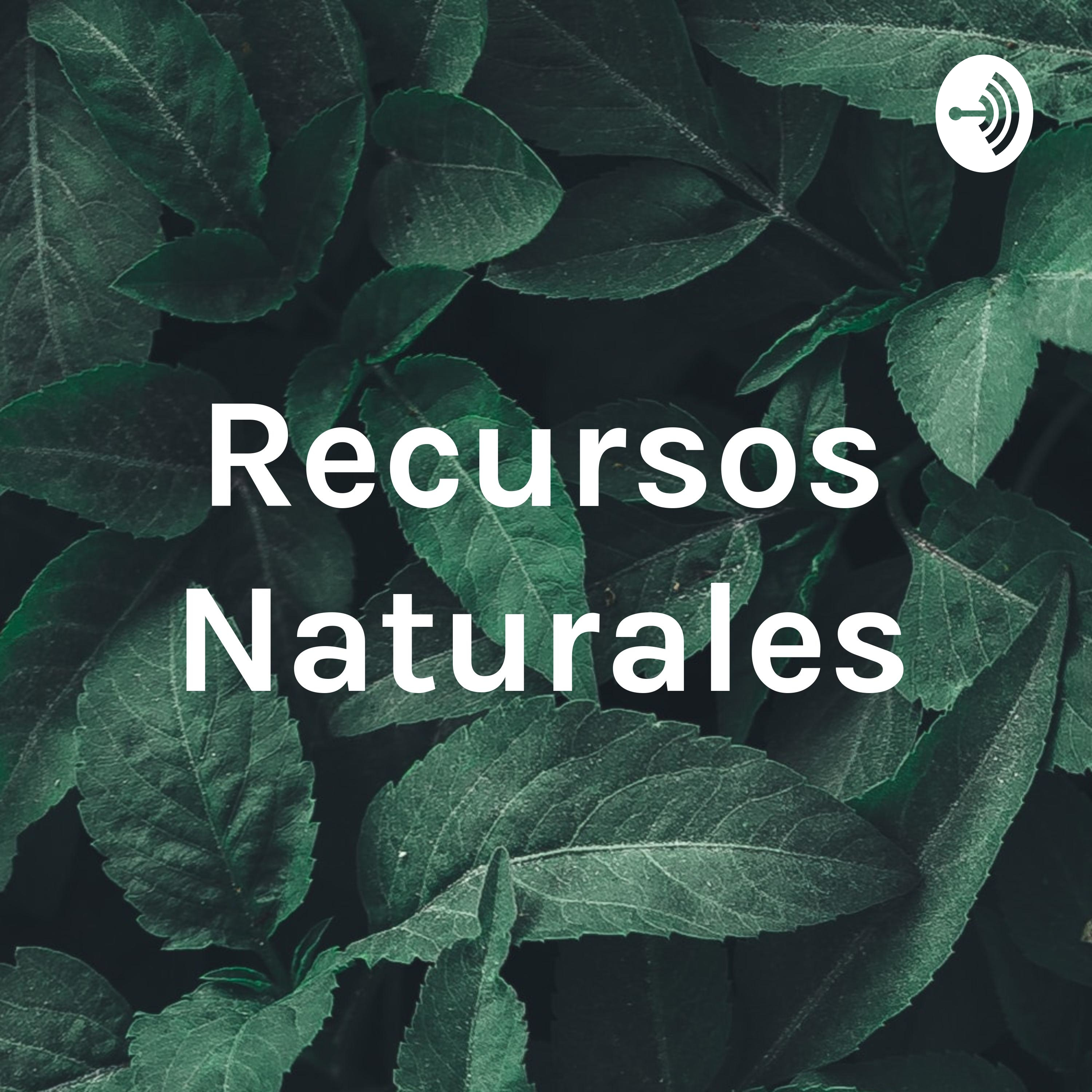Recursos Naturales