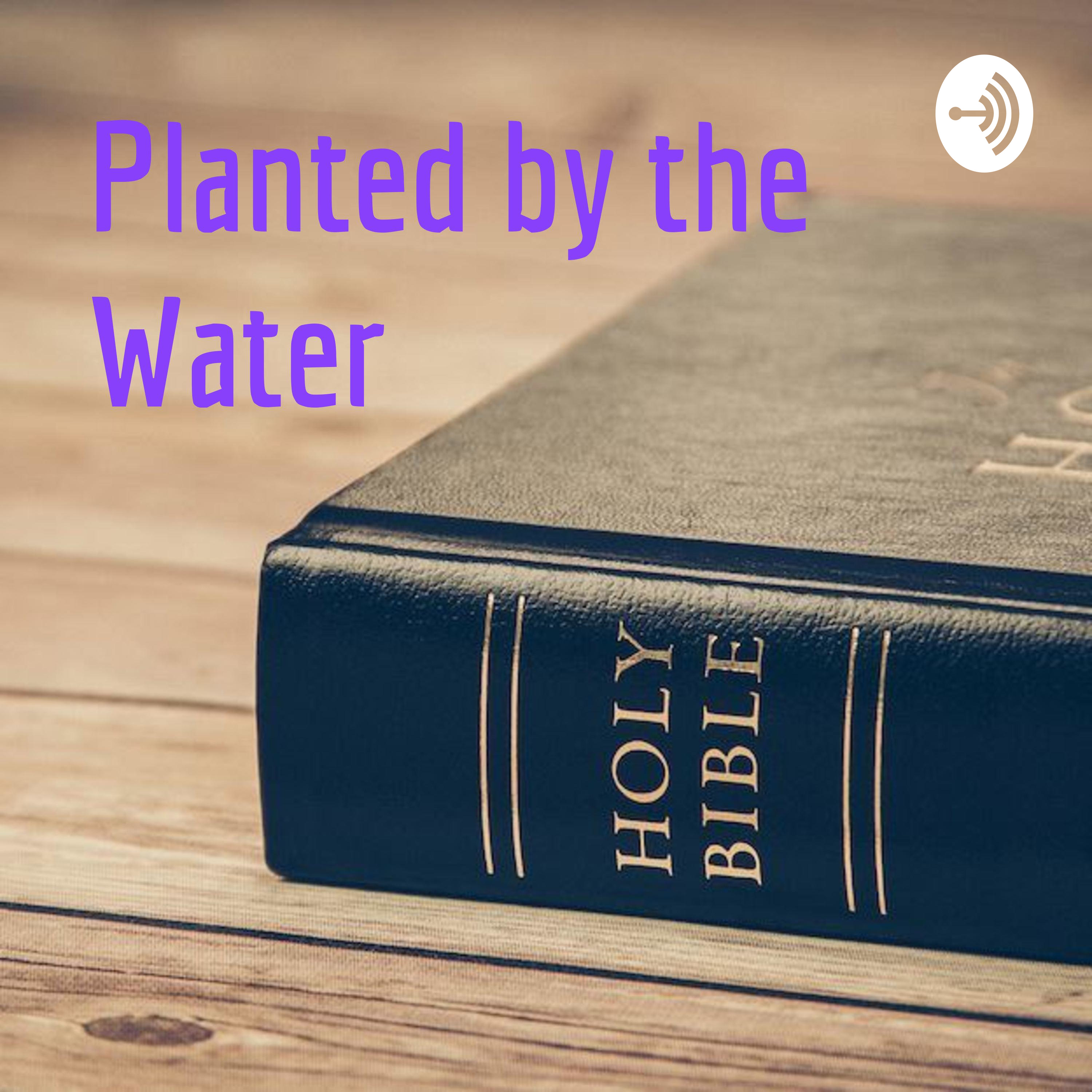 Planted by the Water