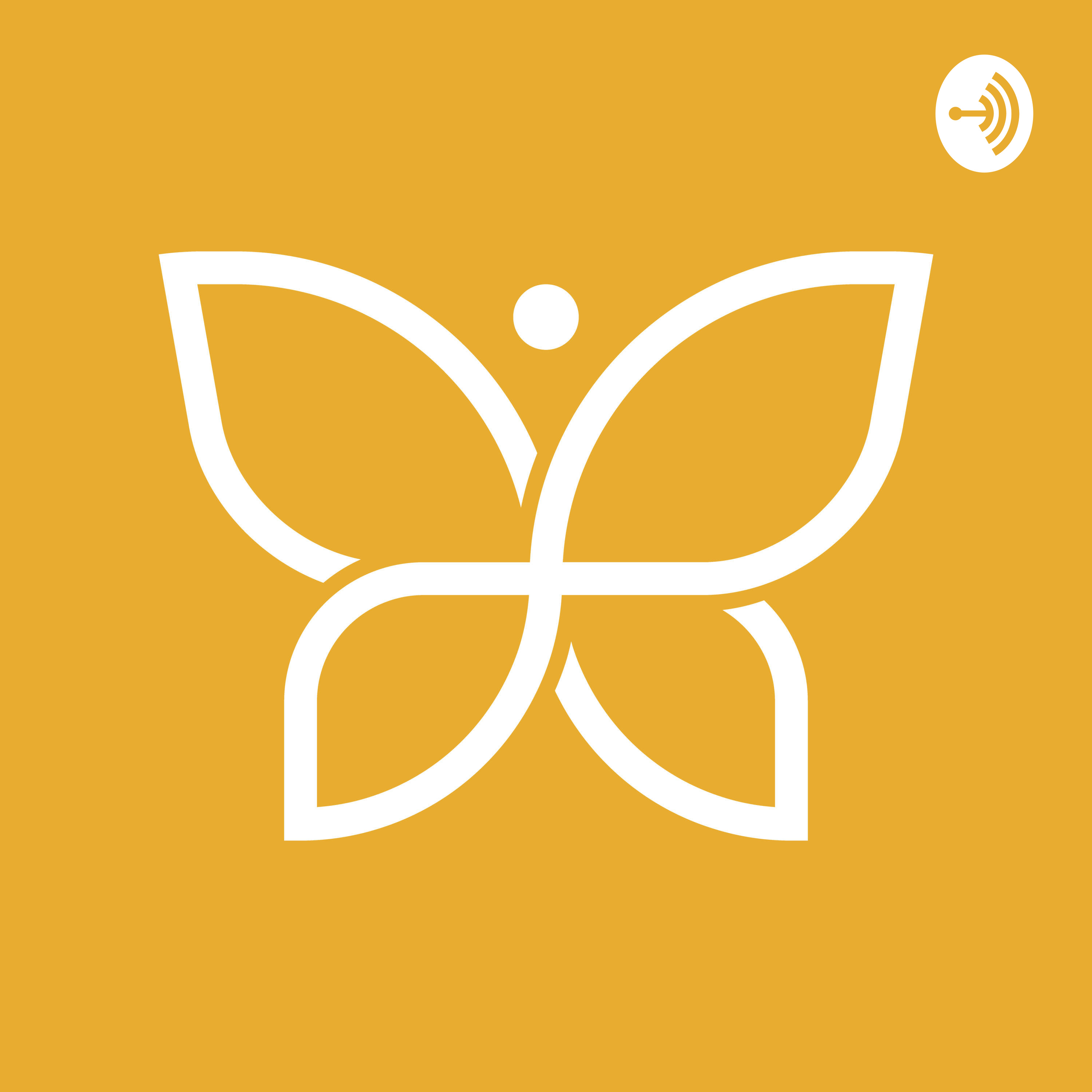 Iluminatta - Rede de Transformação