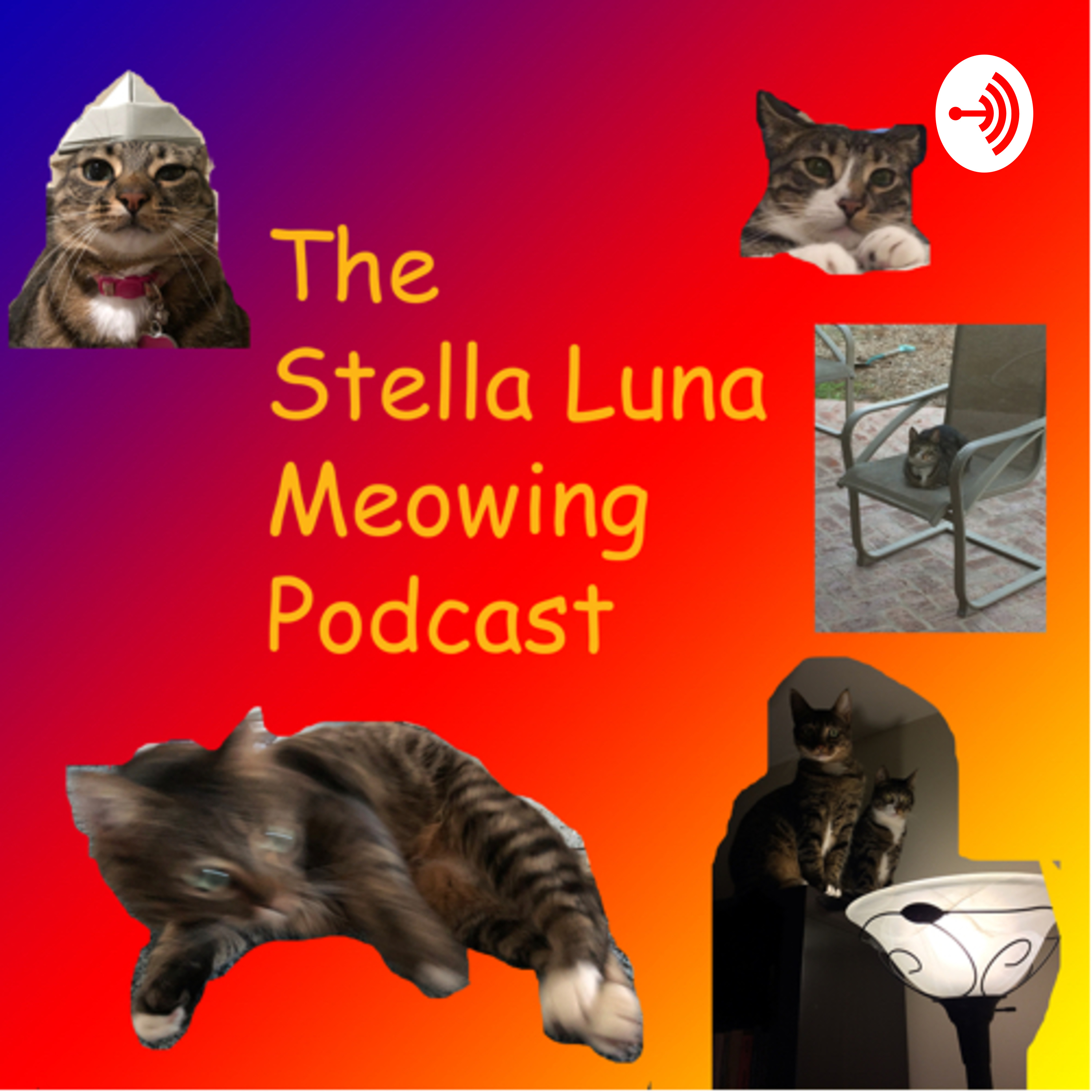 The Stella Luna Meowing Podcast