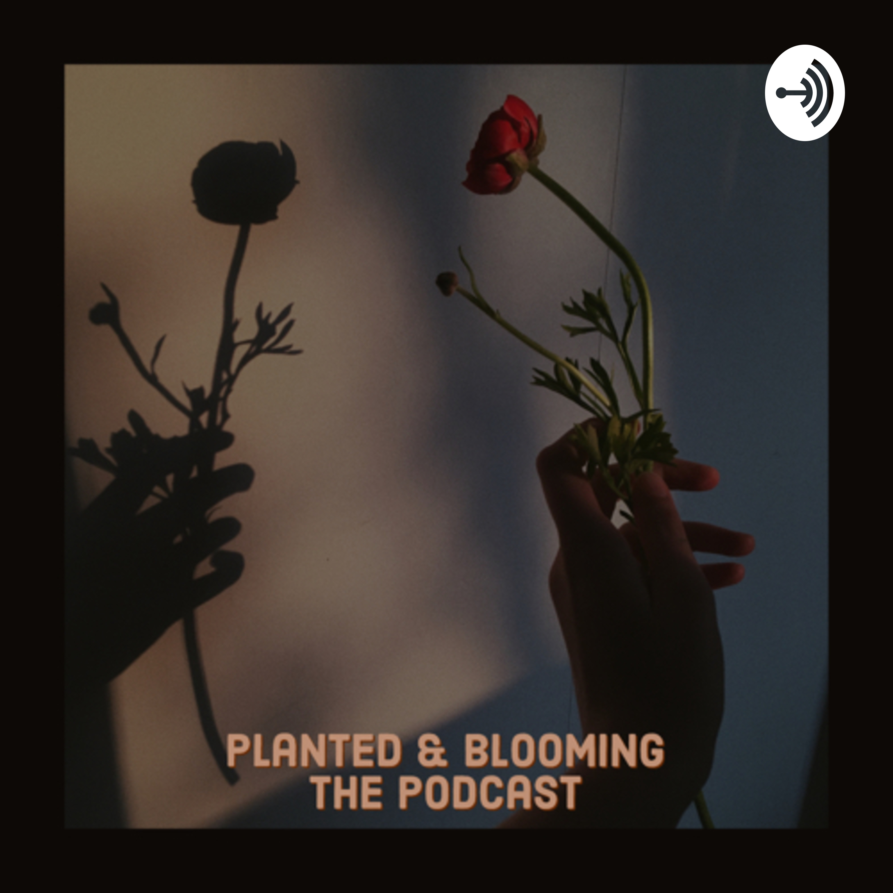 Planted and Blooming: The Podcast