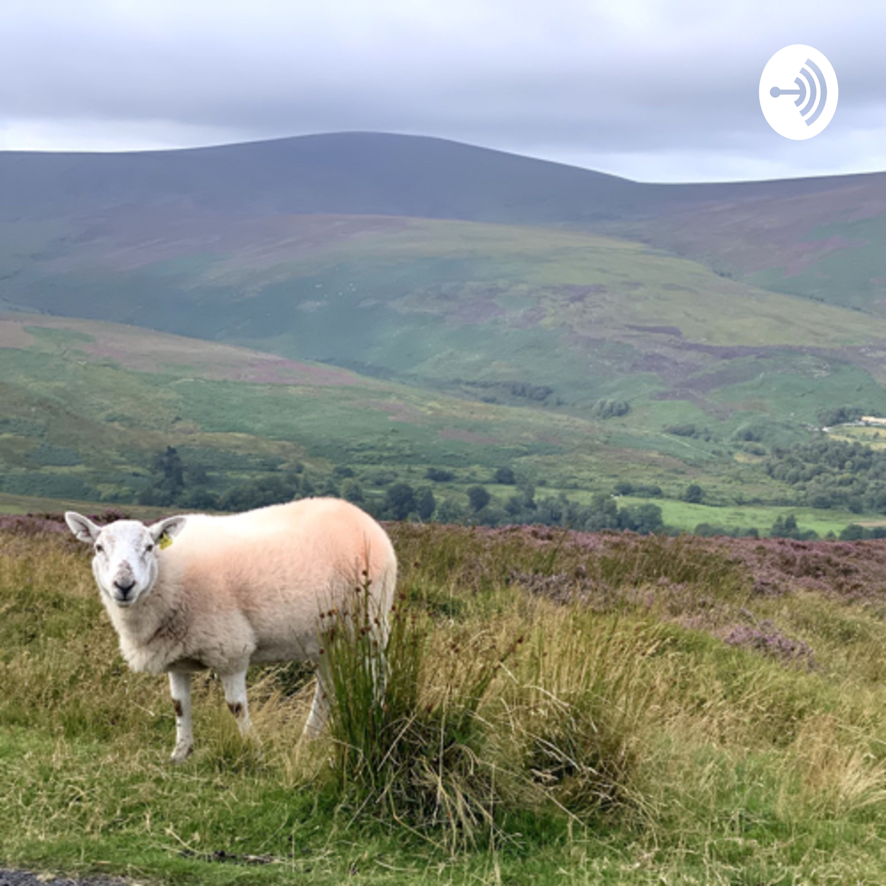 The Wicklow Mountains