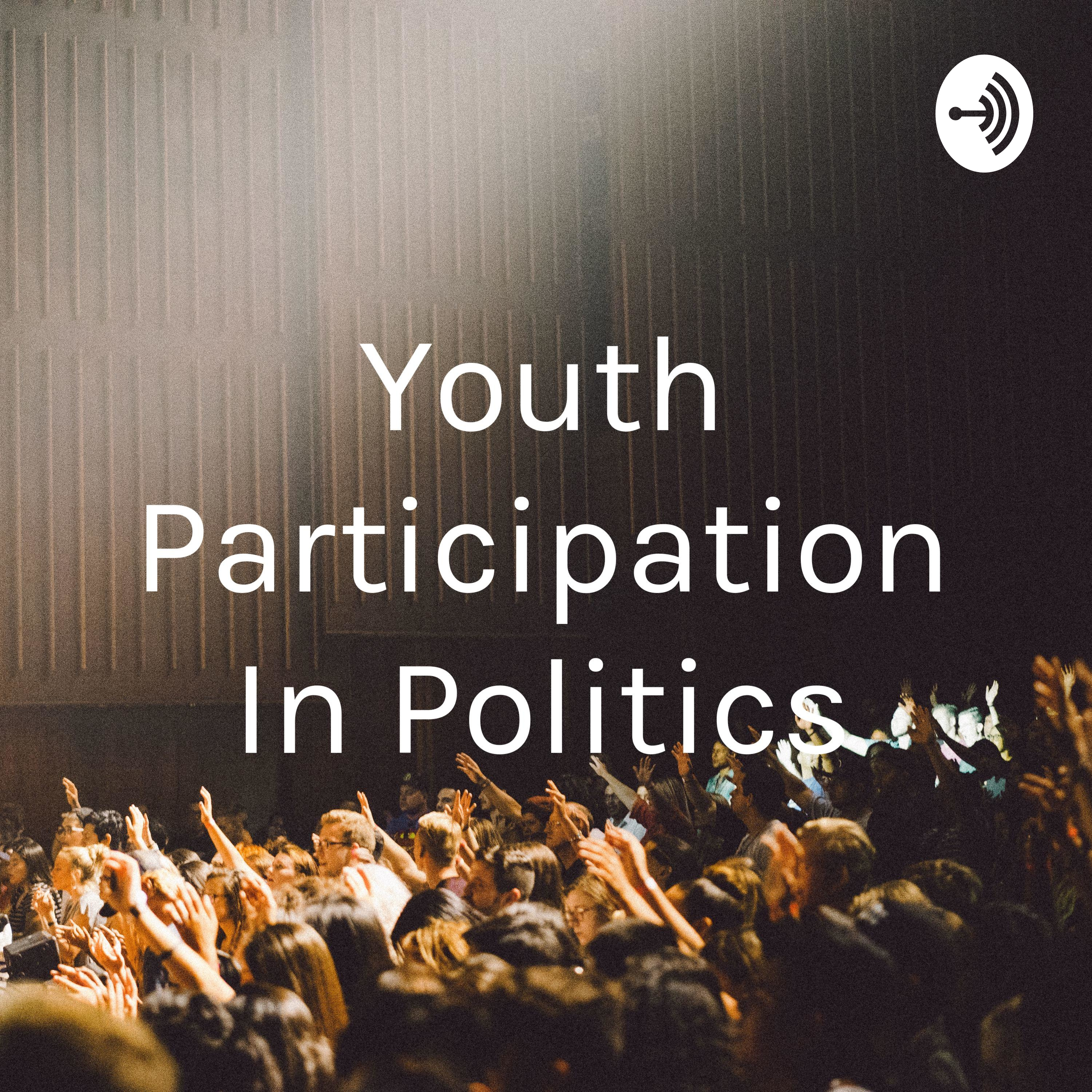 Youth Participation In Politics