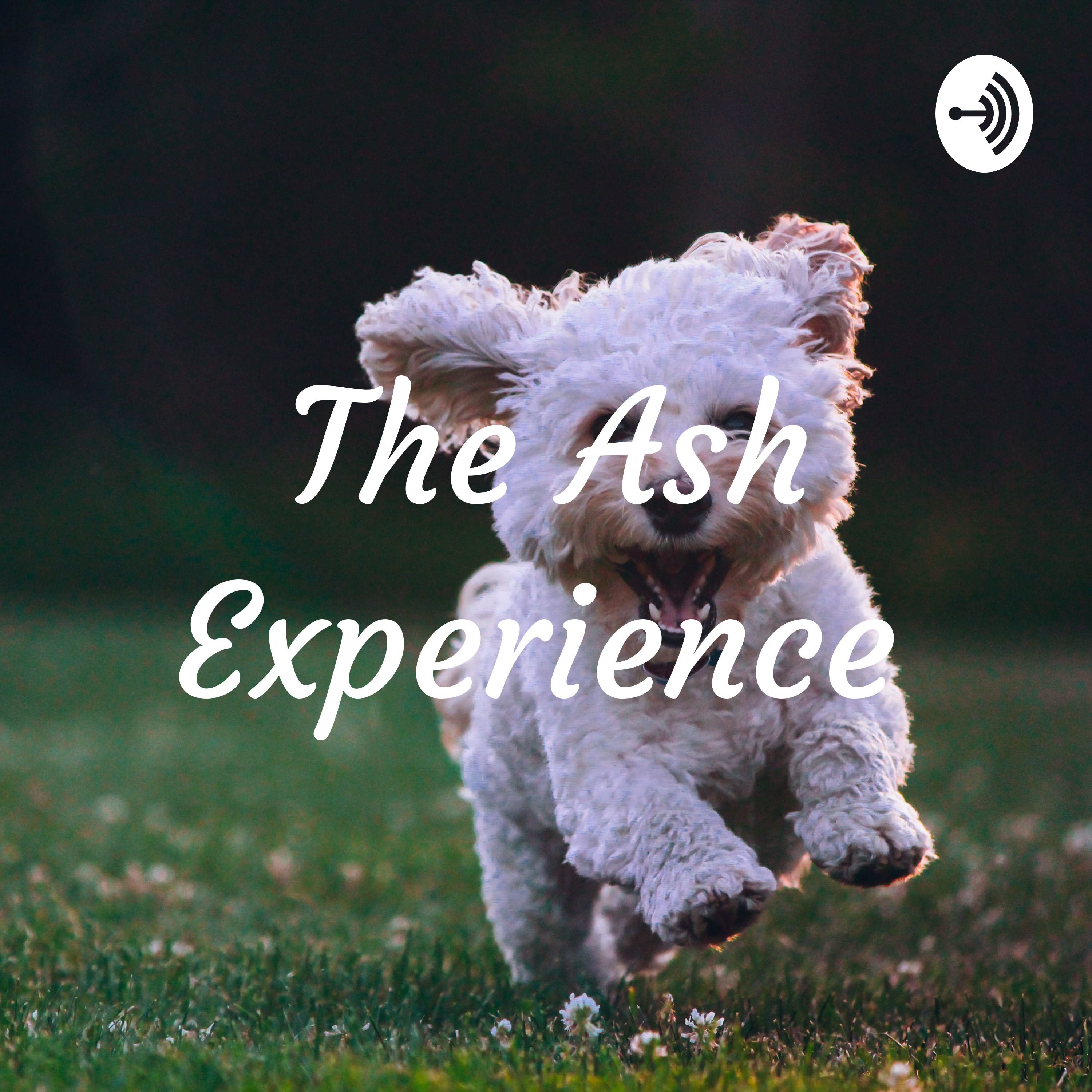The Ash Experience 
