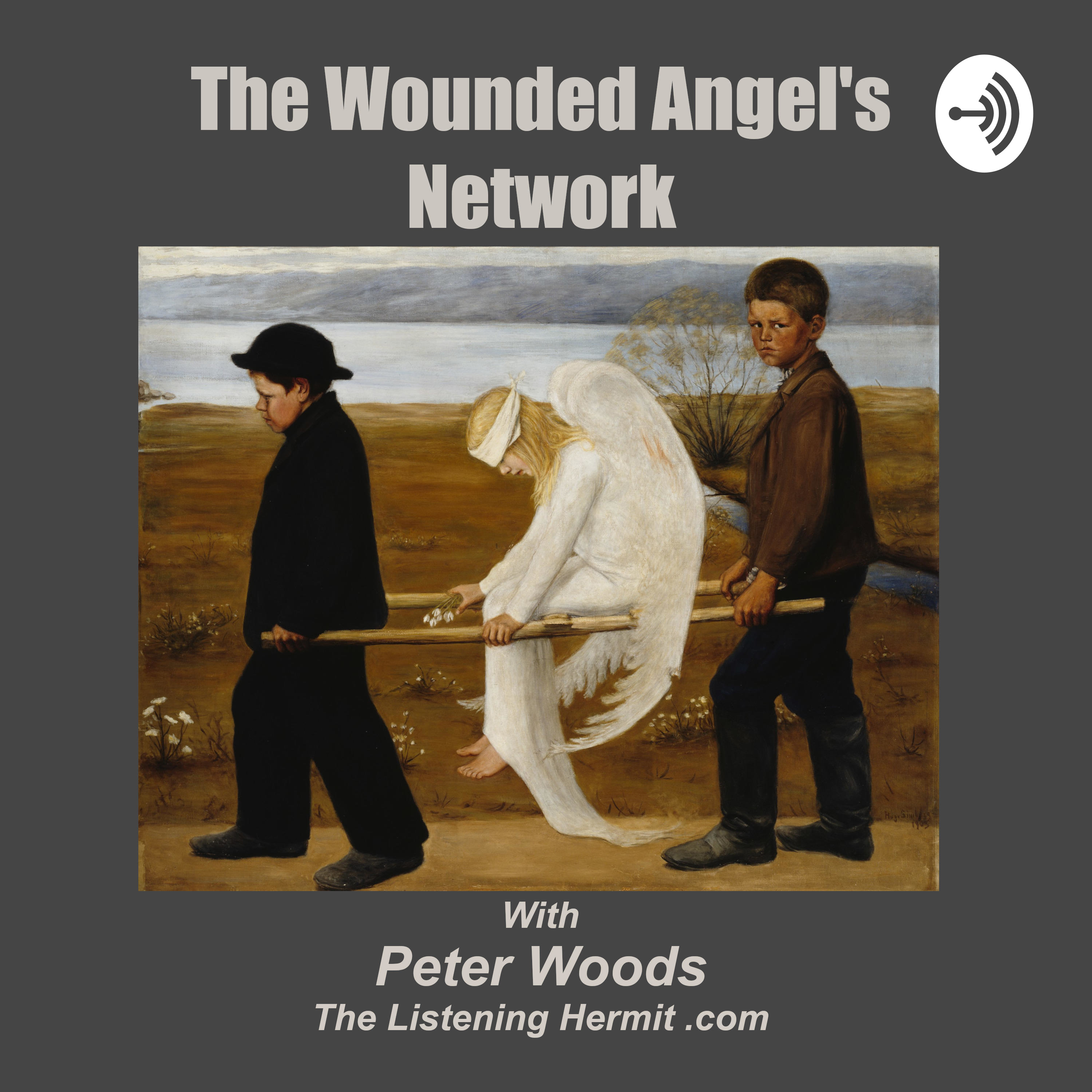 The Wounded Angel\'s Network - Peter Woods