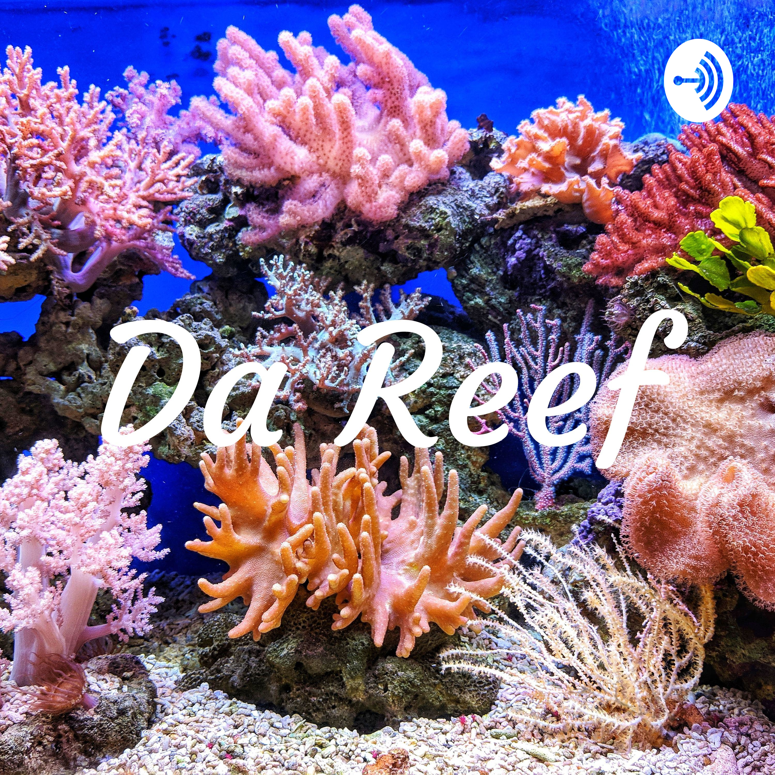 Da Reef