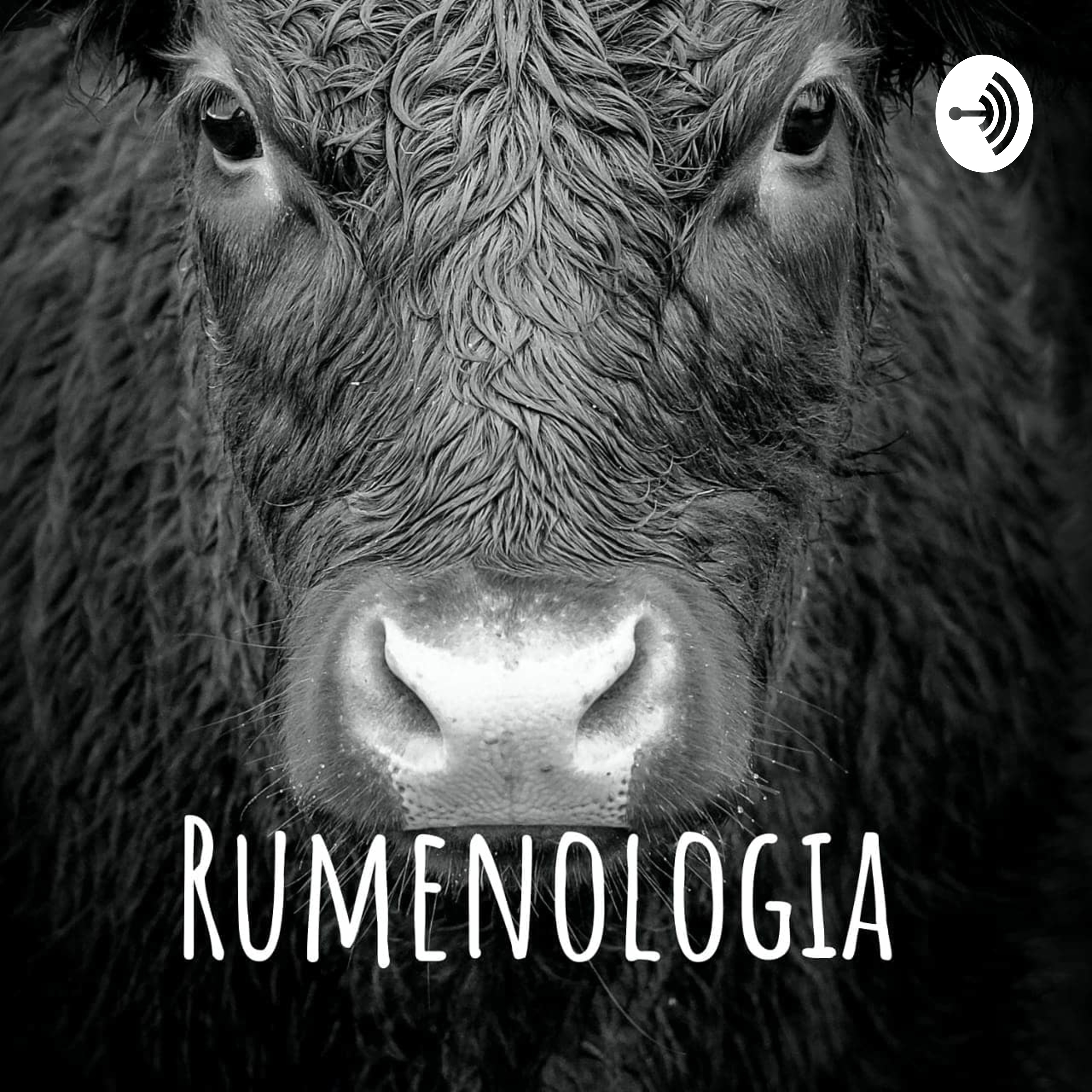 Rumenologia