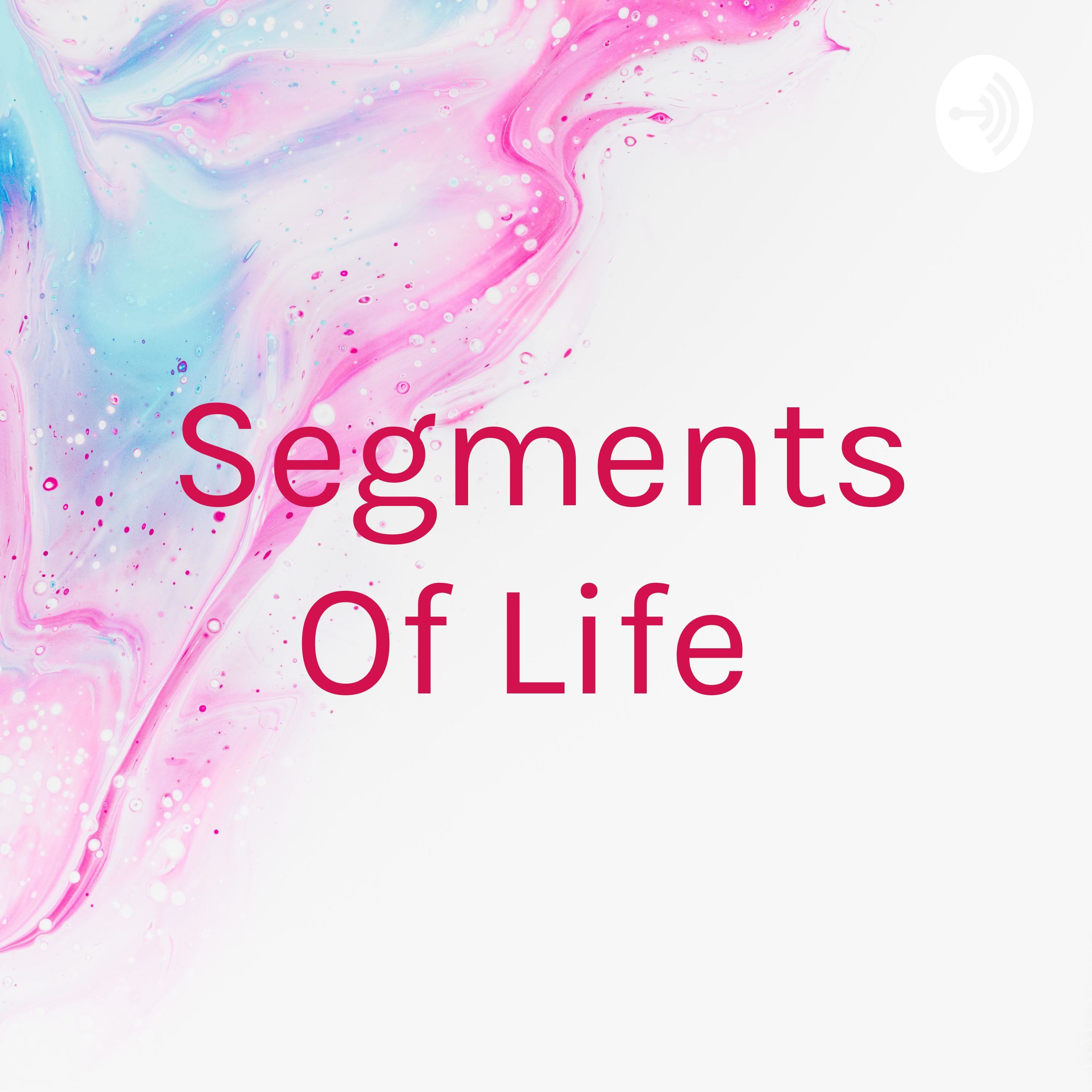 Segments Of Life 