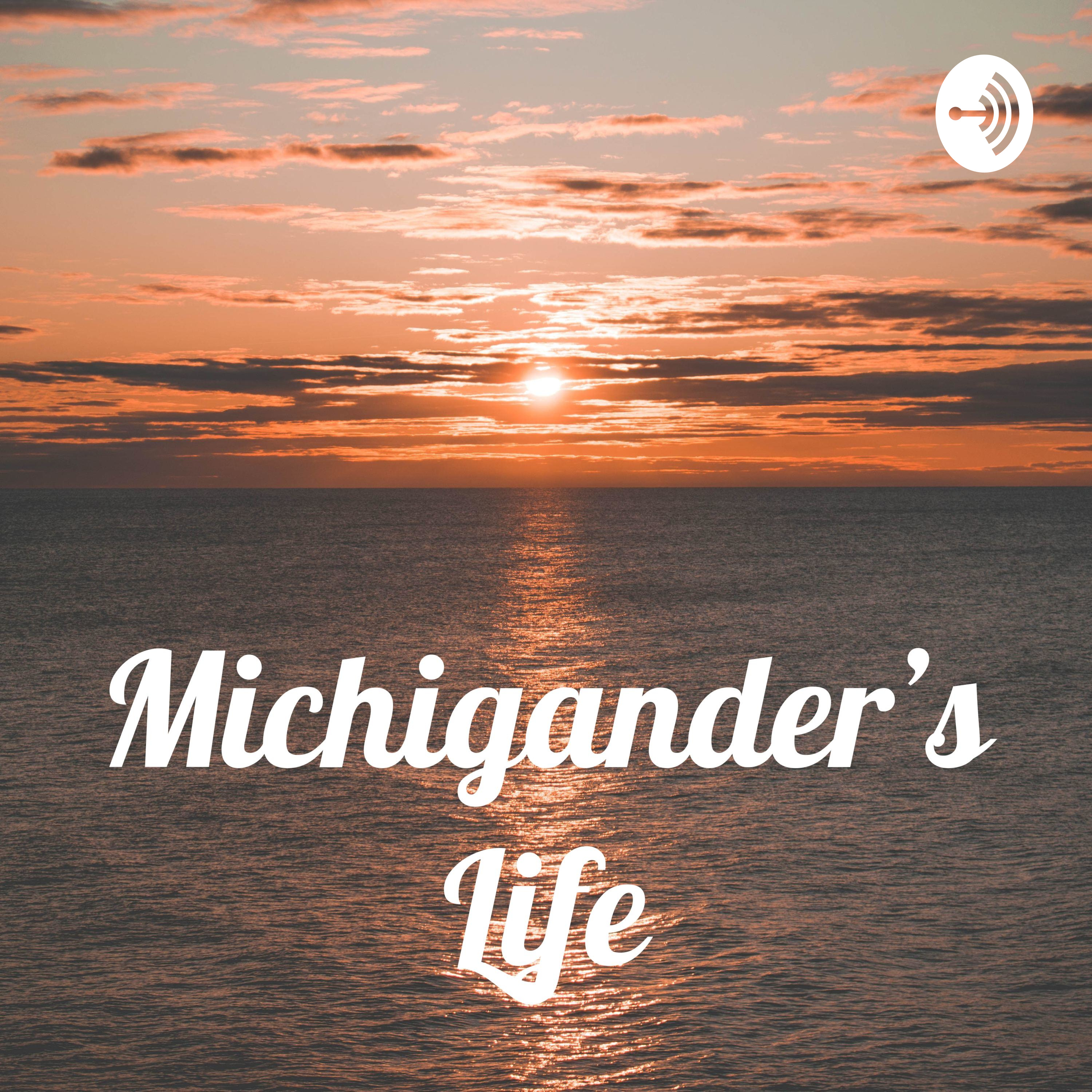 Michigander's Life