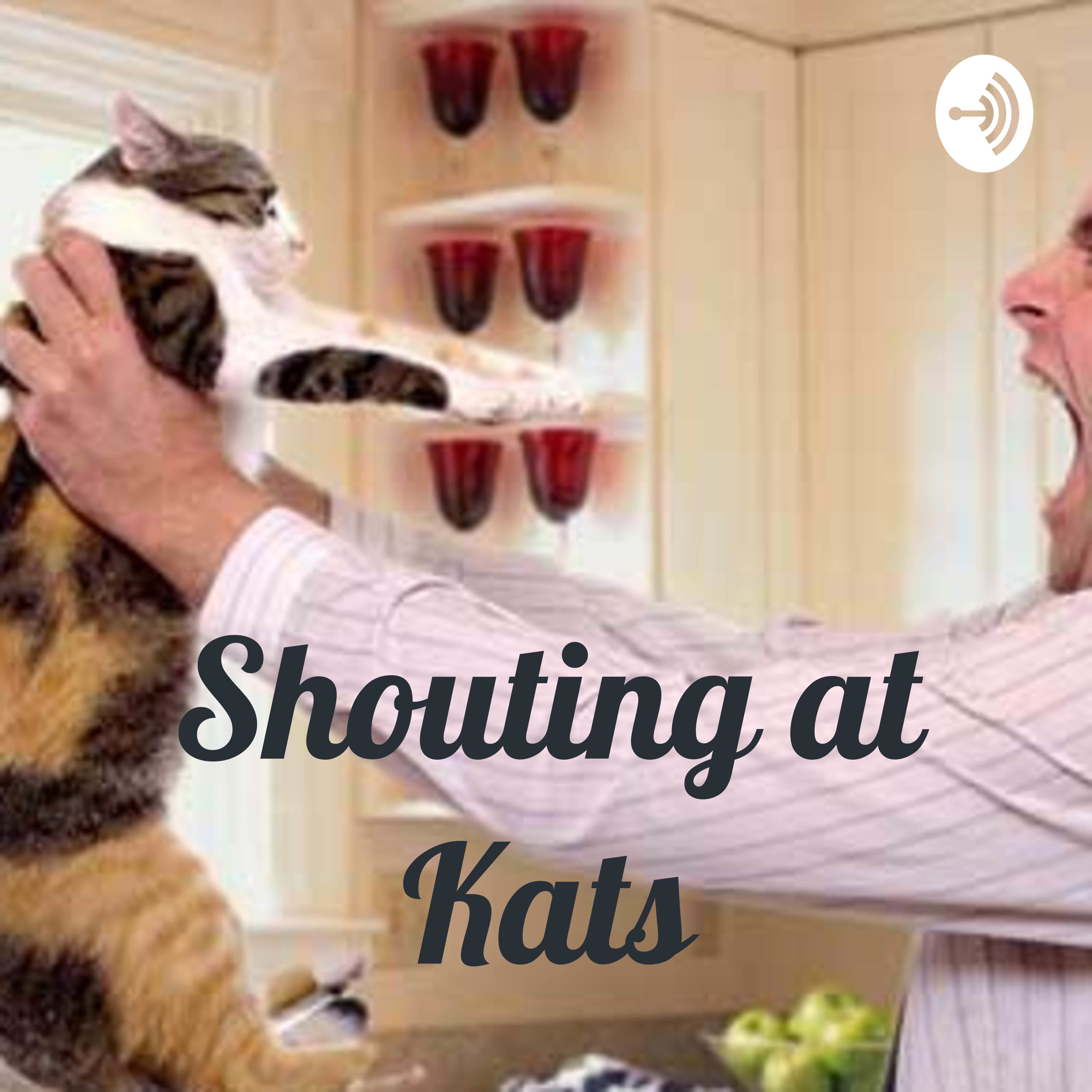 Shouting at Kats
