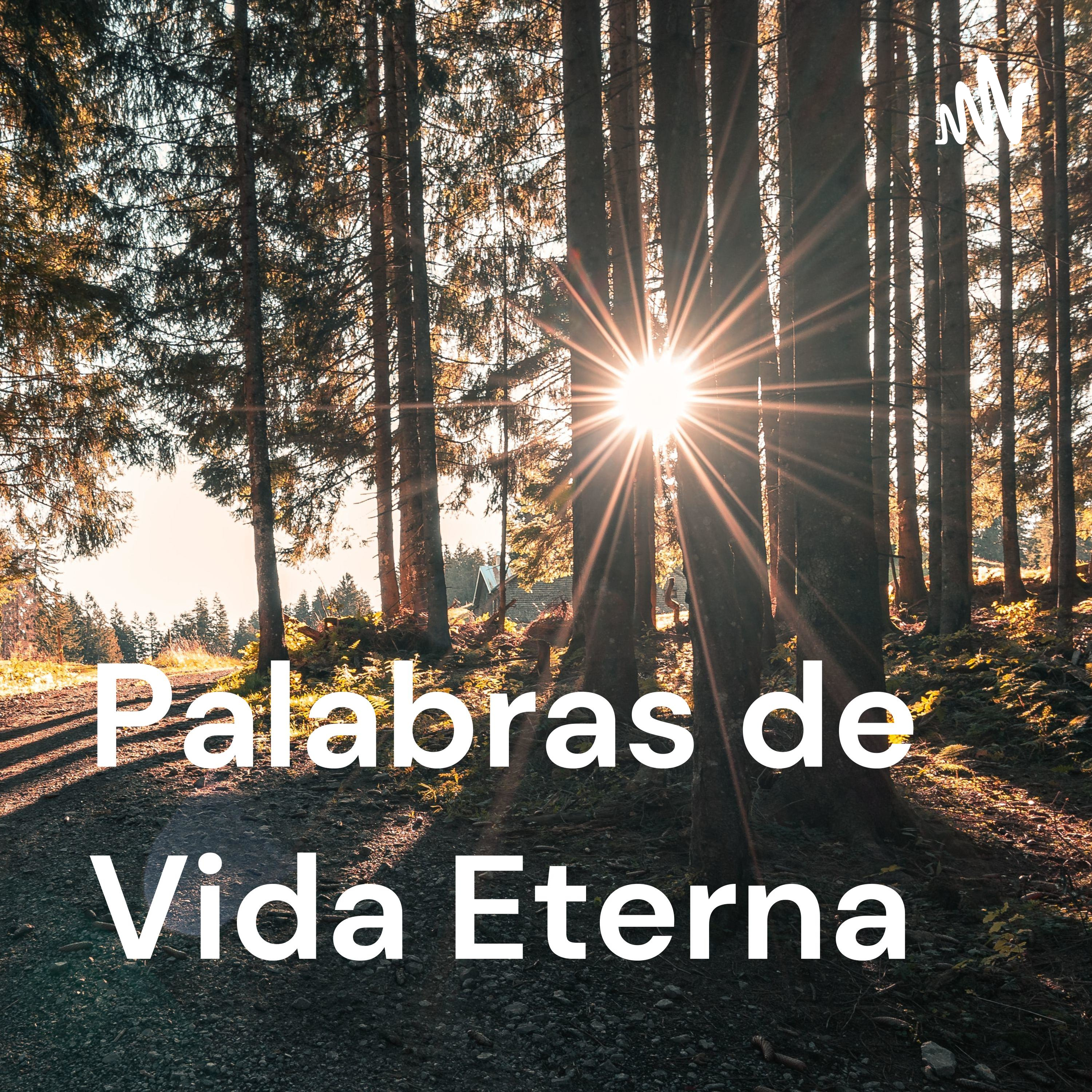 Palabras de Vida Eterna cover art