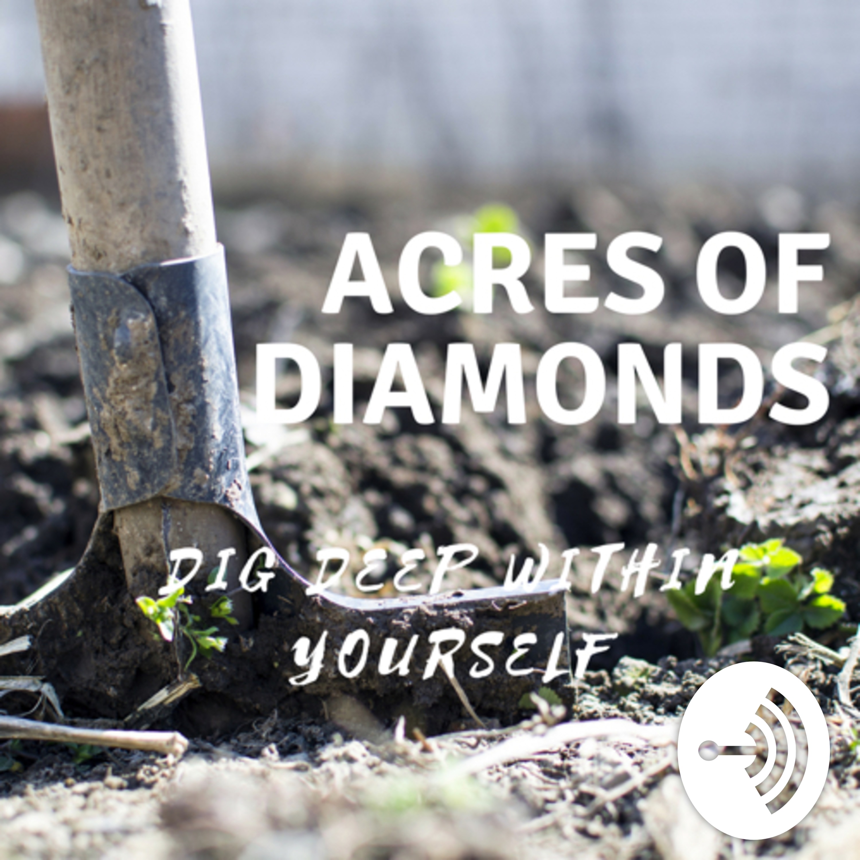 Acres of Diamonds- Dig Deep Within Yourself 