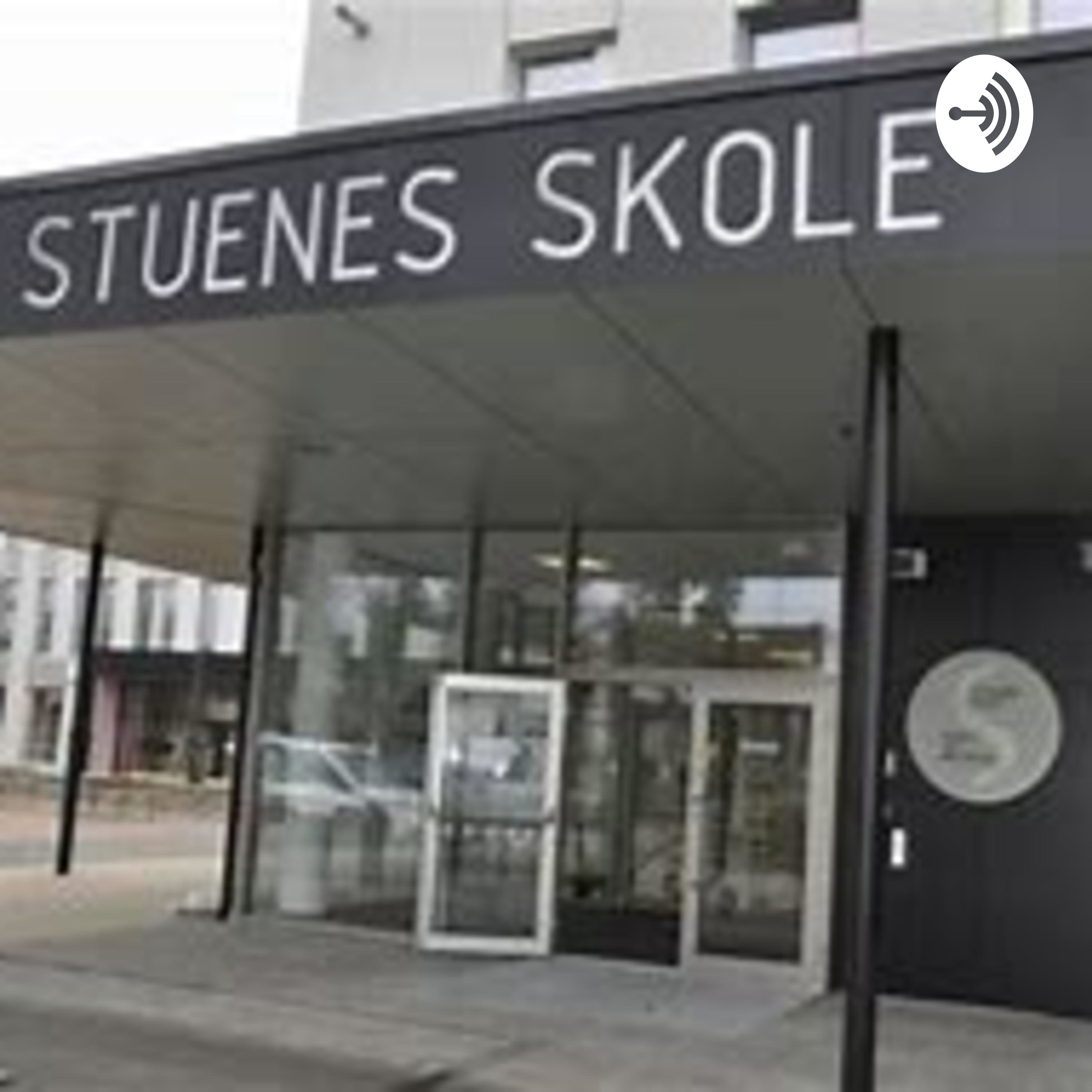 STUENES SKOLE - VEIEN TIL MESTRING