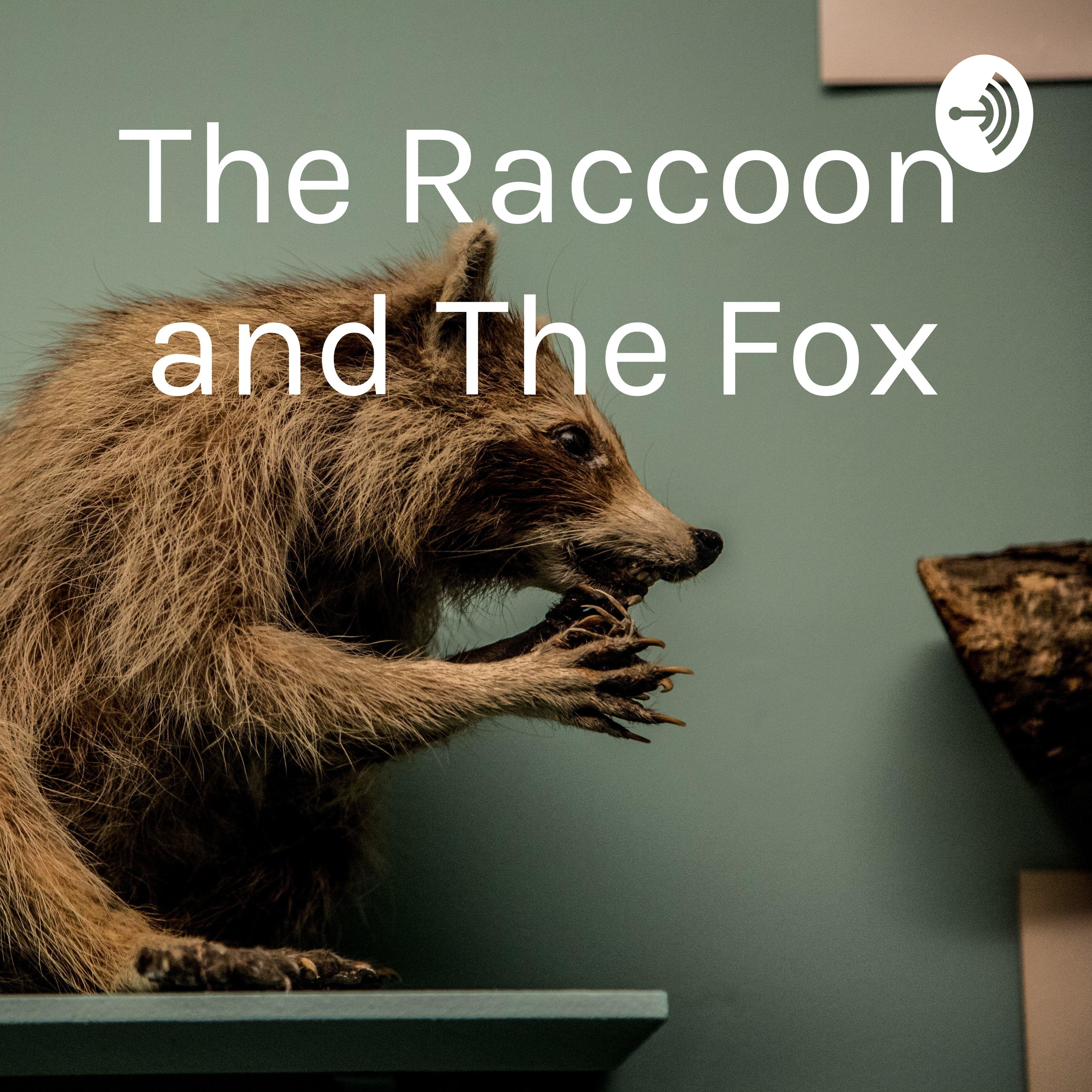 The Raccoon and The Fox