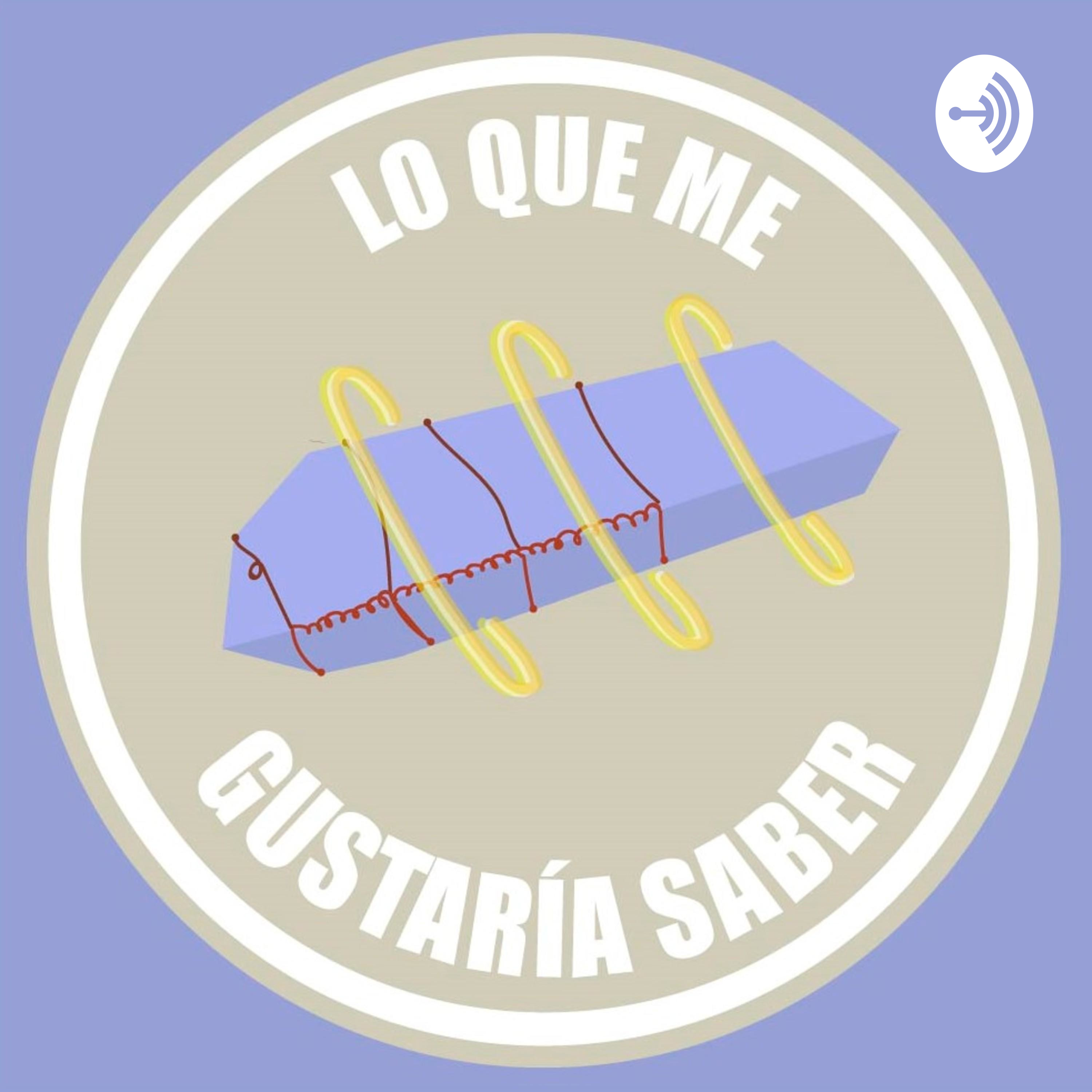 Lo que me gustaría saber 