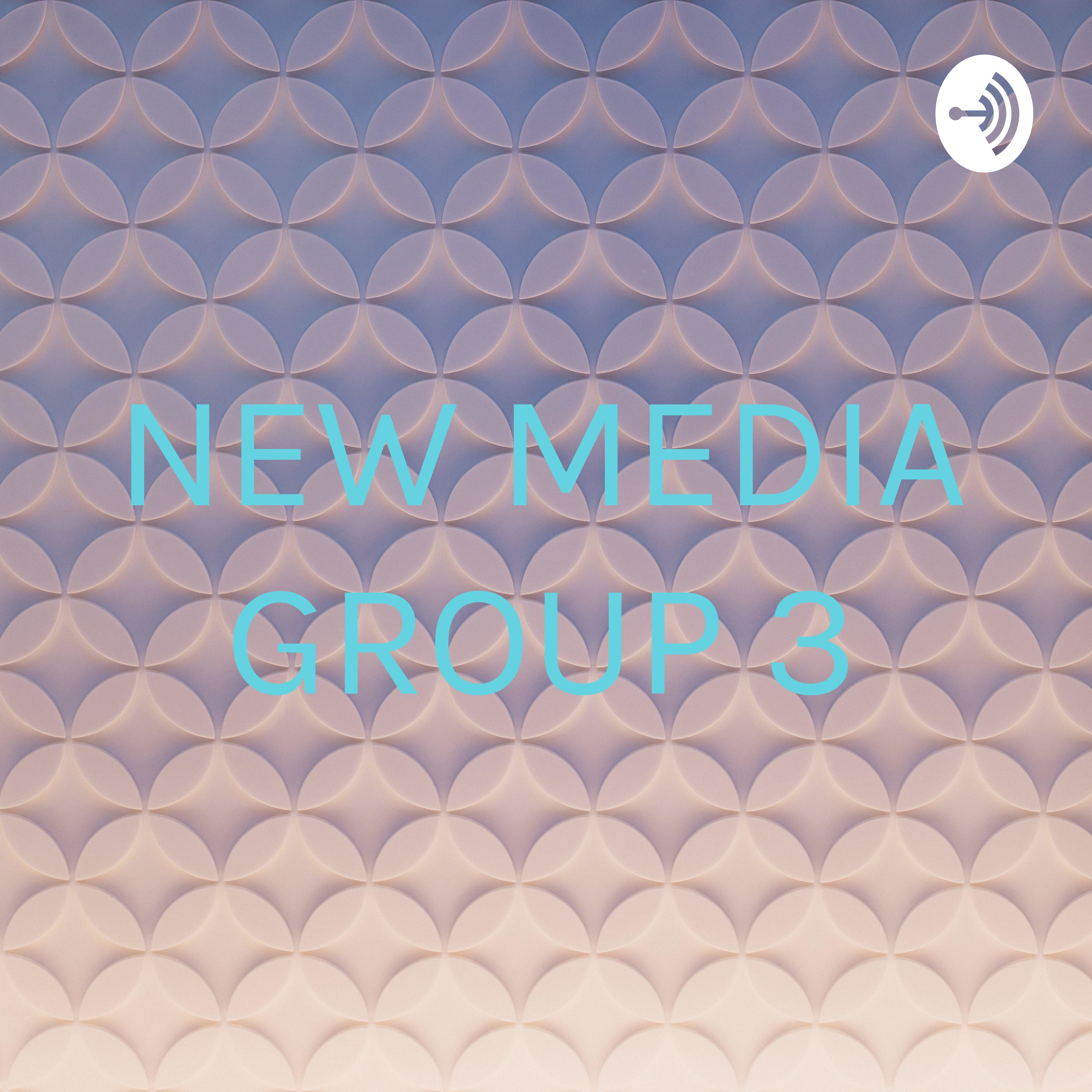 NEW MEDIA GROUP 3