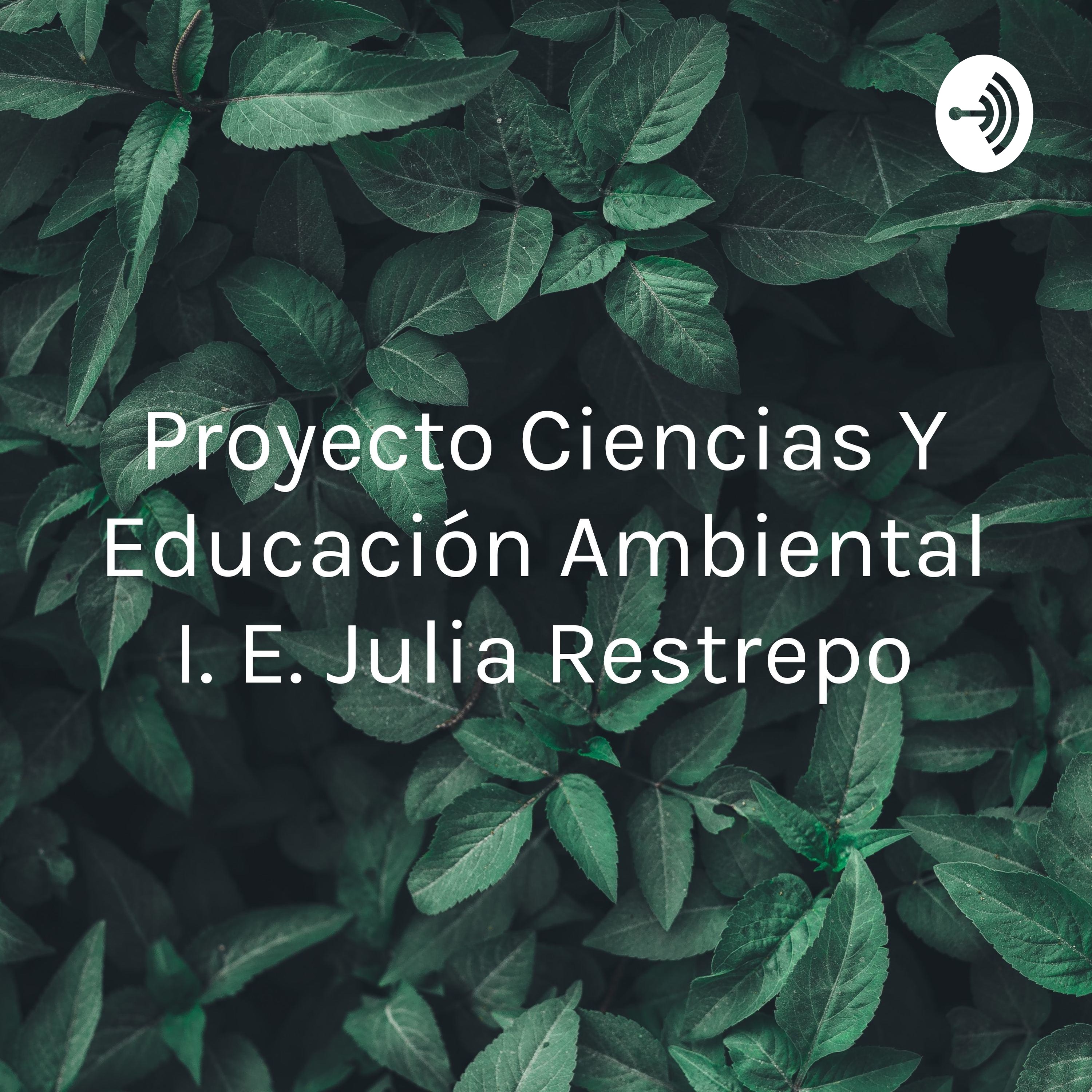 Proyecto Ciencias Y Educación Ambiental I. E. Julia Restrepo