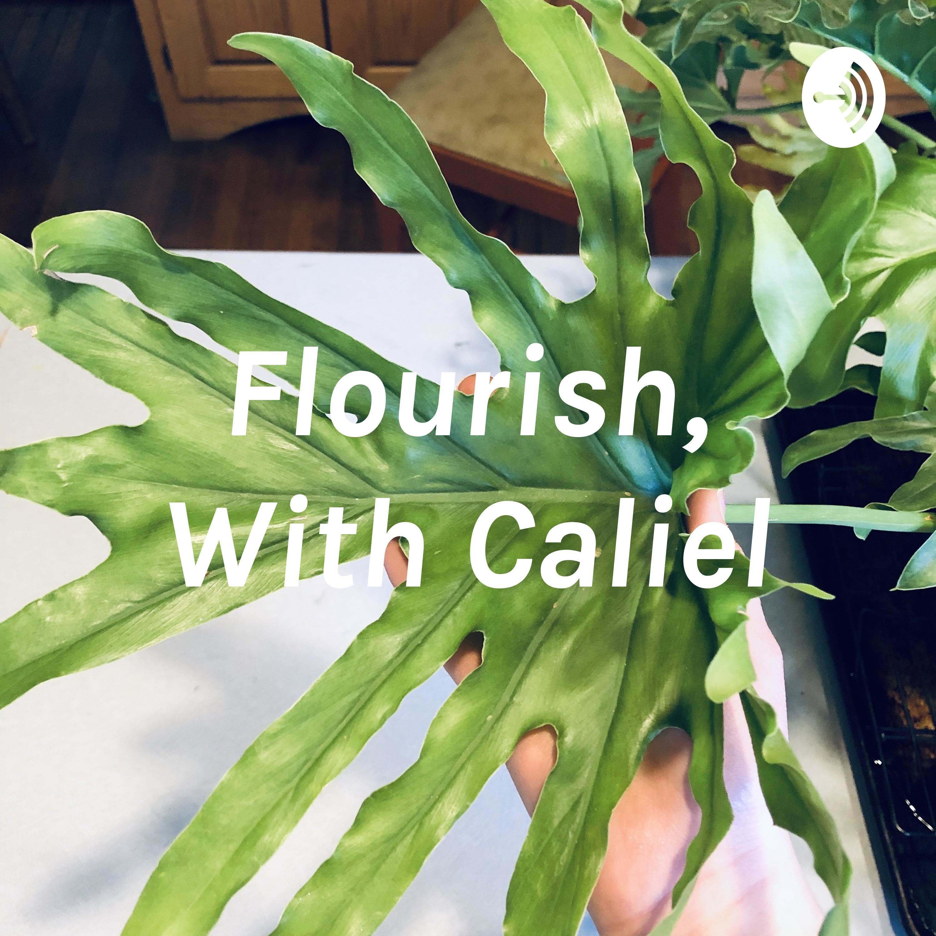 Flourish, With Caliel
