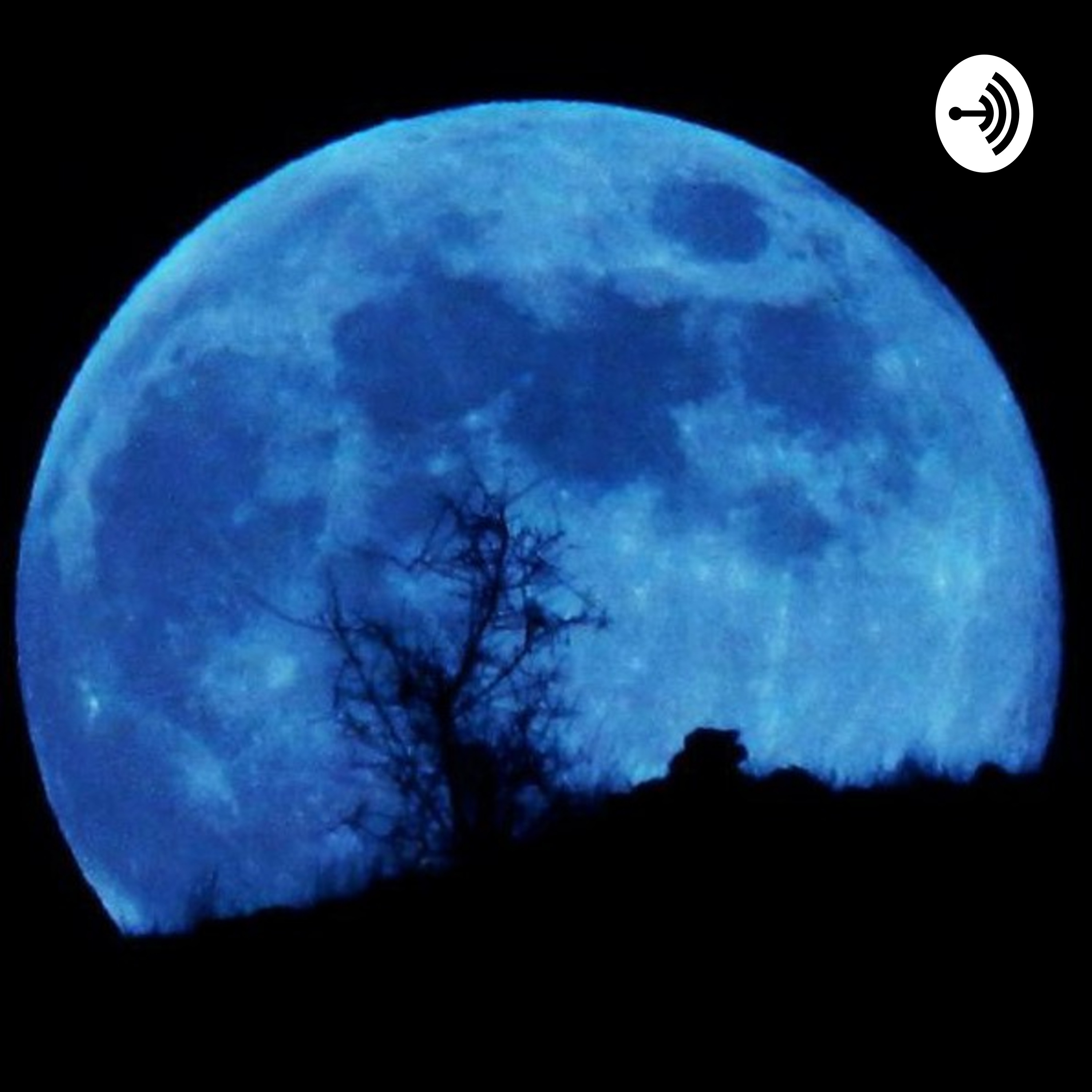 کاور Blue moon (Trailer)