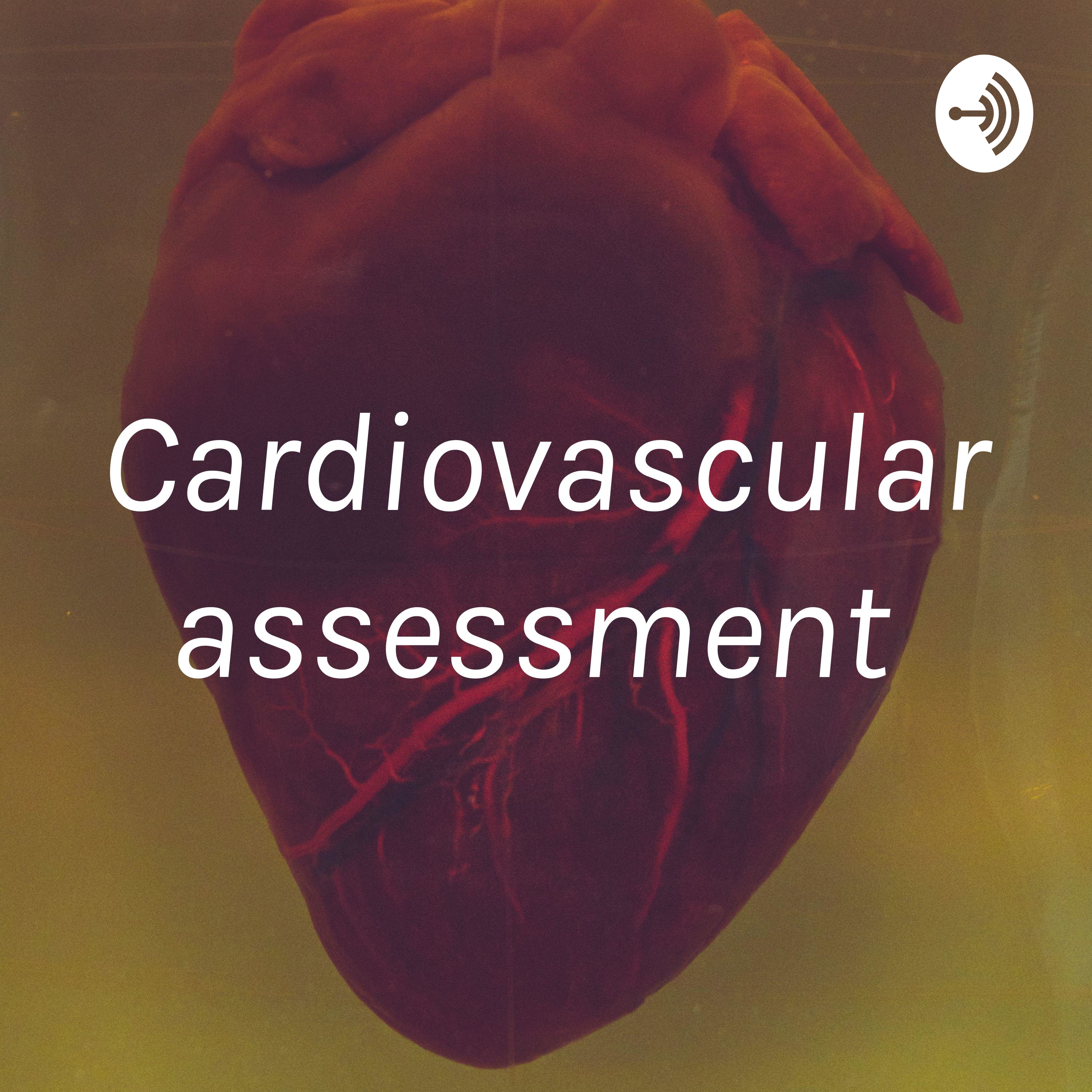 Cardiovascular assessment 