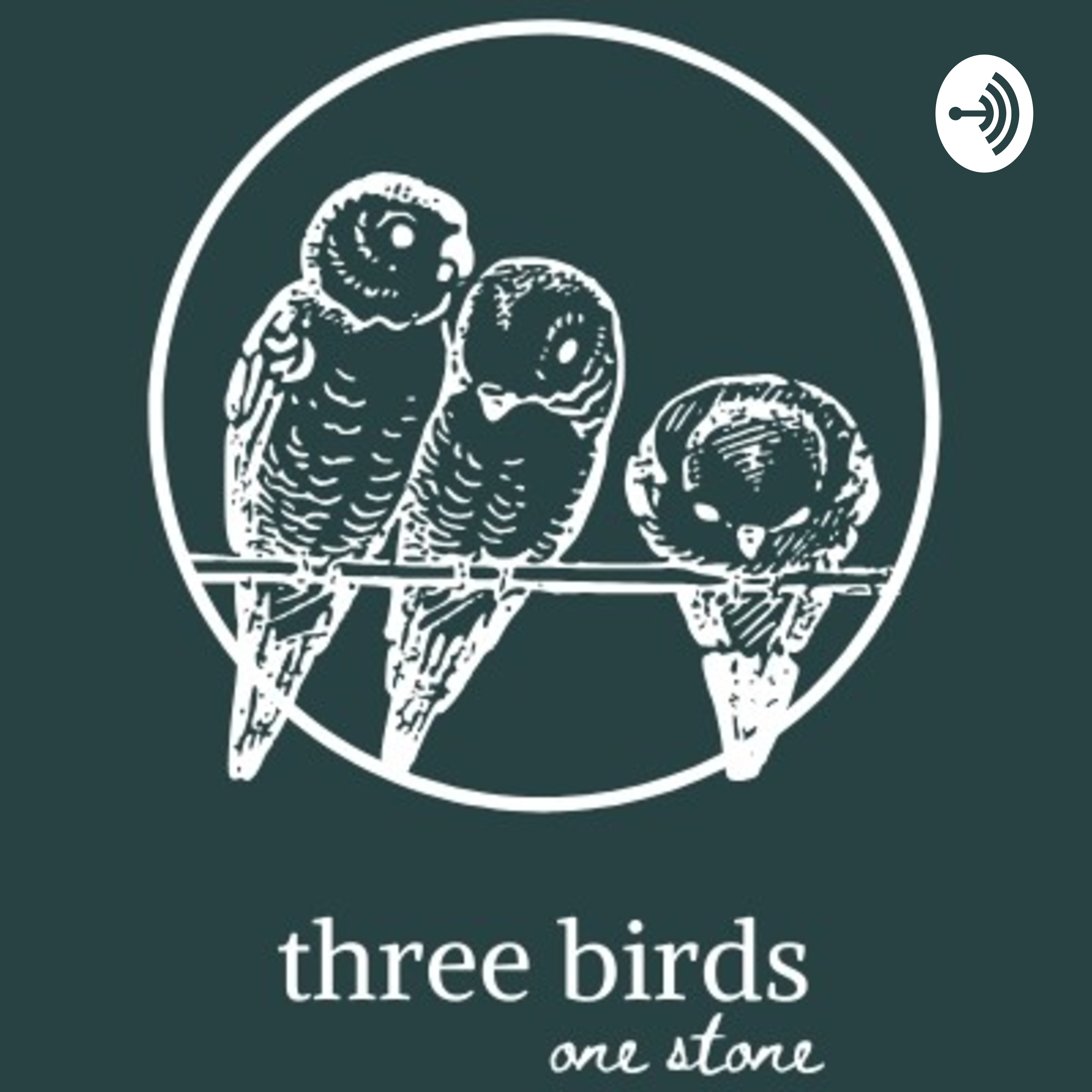 Three Birds, One Stone