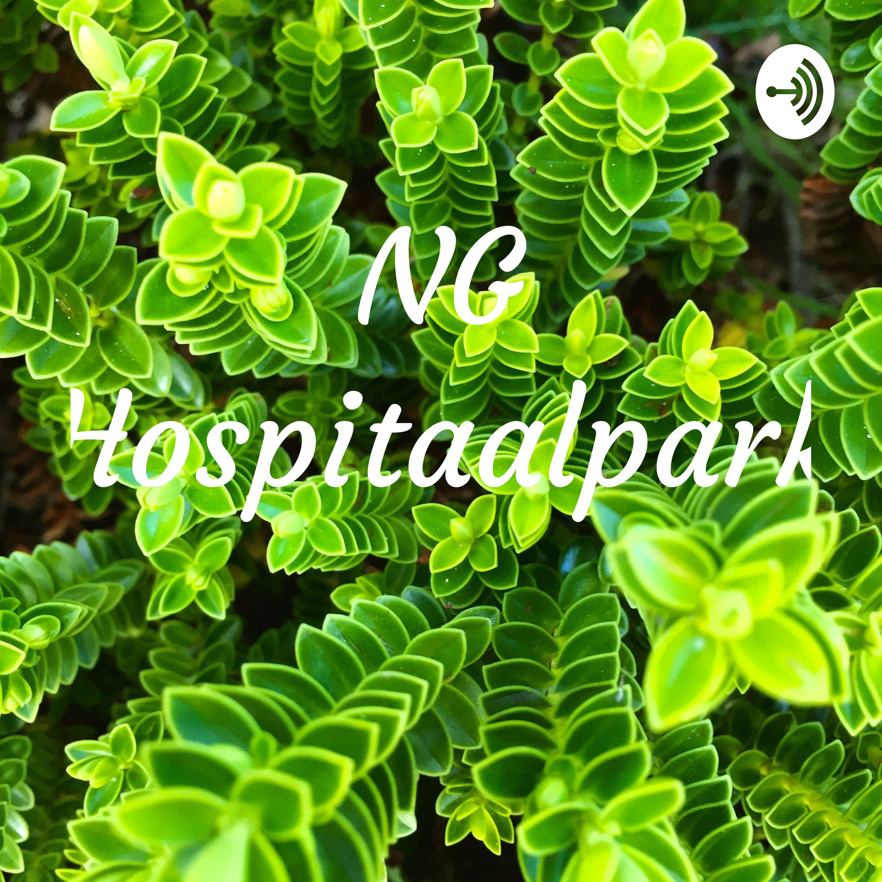 NG Hospitaalpark