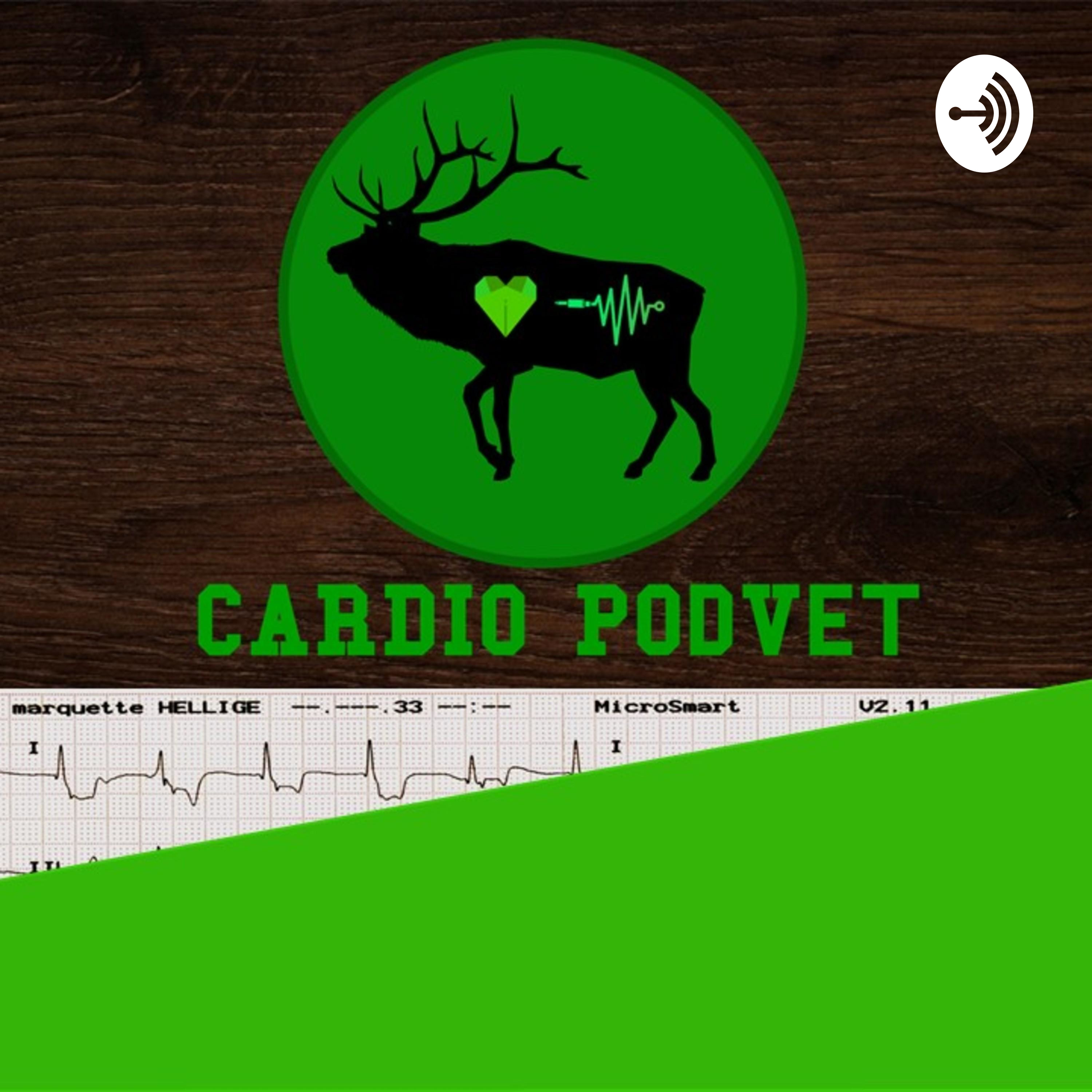 CARDIO PodVet
