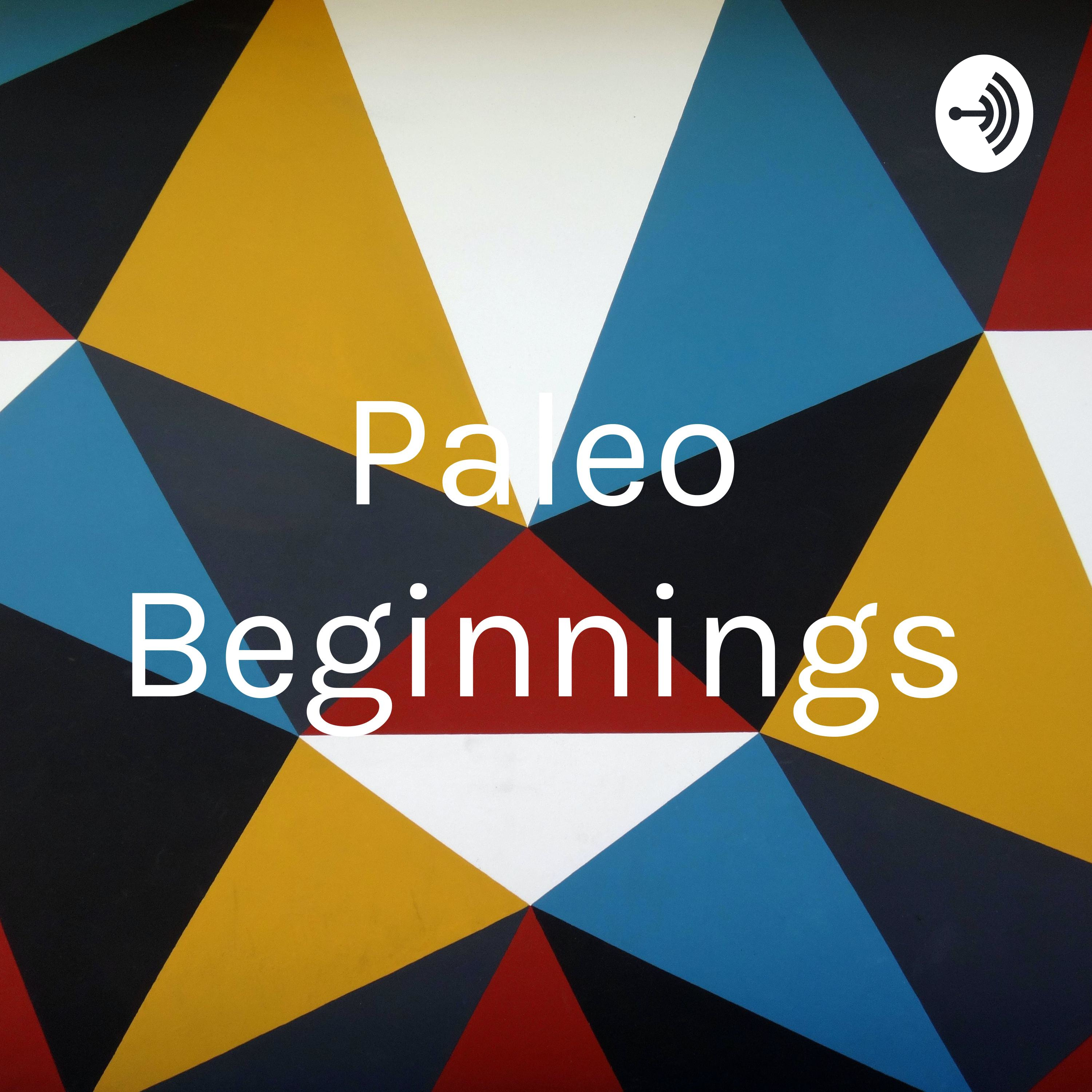 Paleo Beginnings