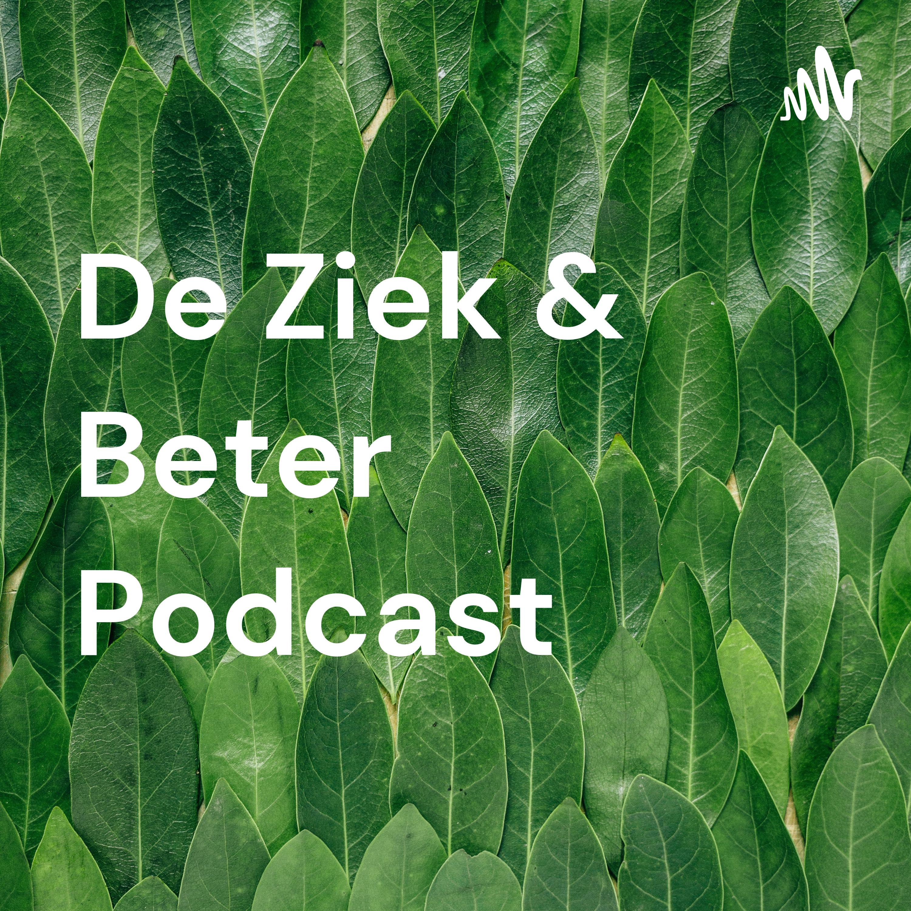 De Ziek & Beter Podcast cover art