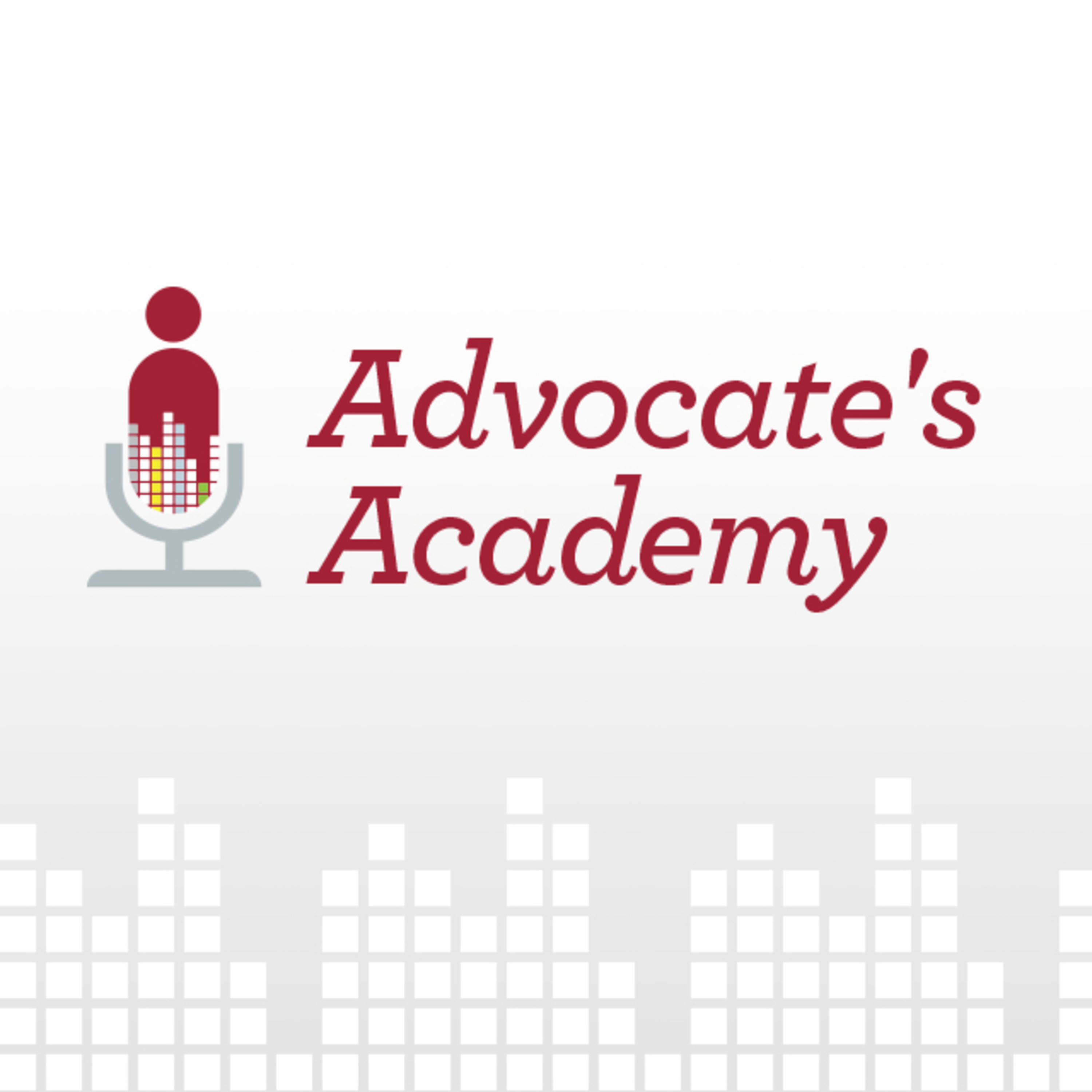 The Advocate\'s Academy